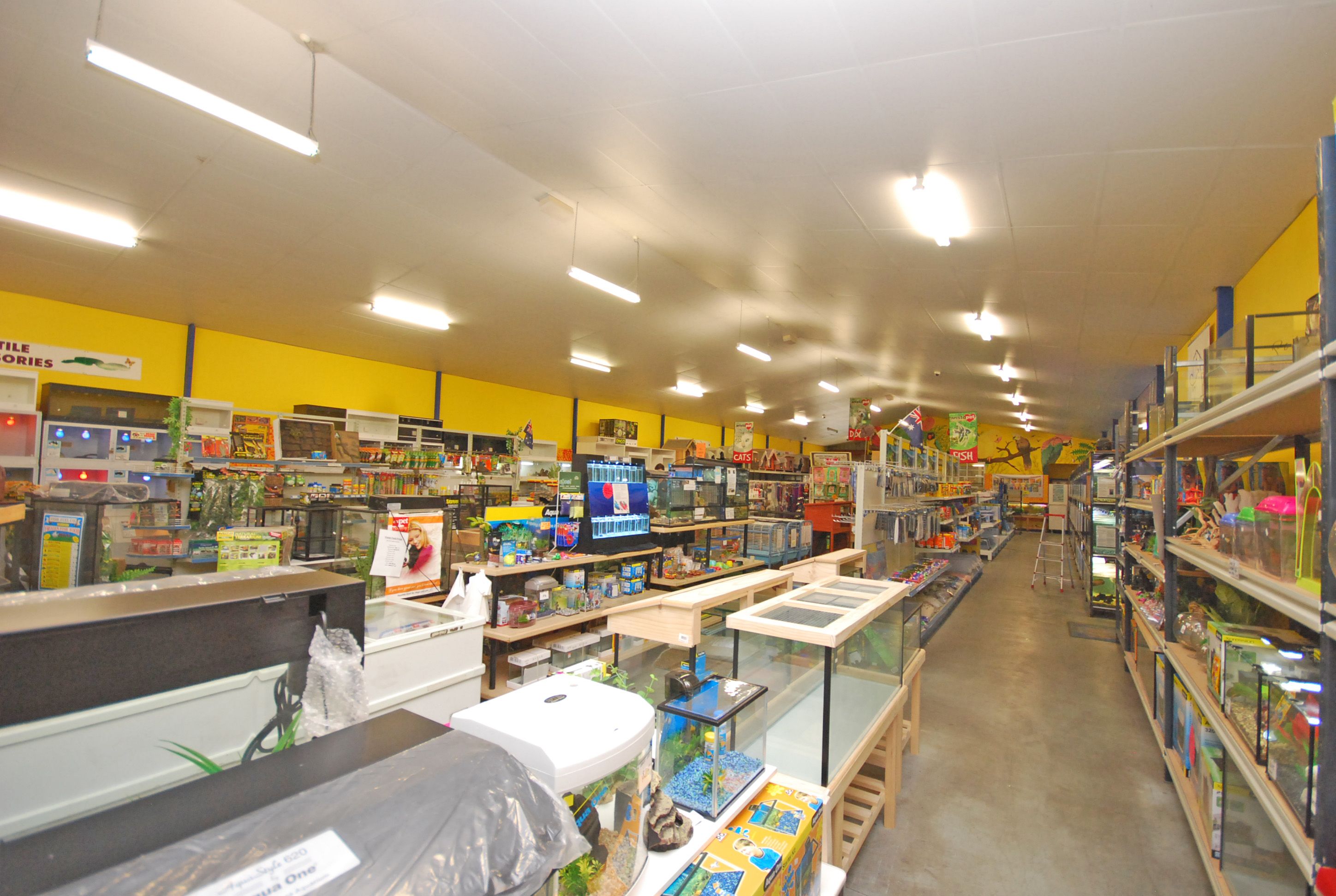 1013 Howitt Street, Wendouree, VIC 3355