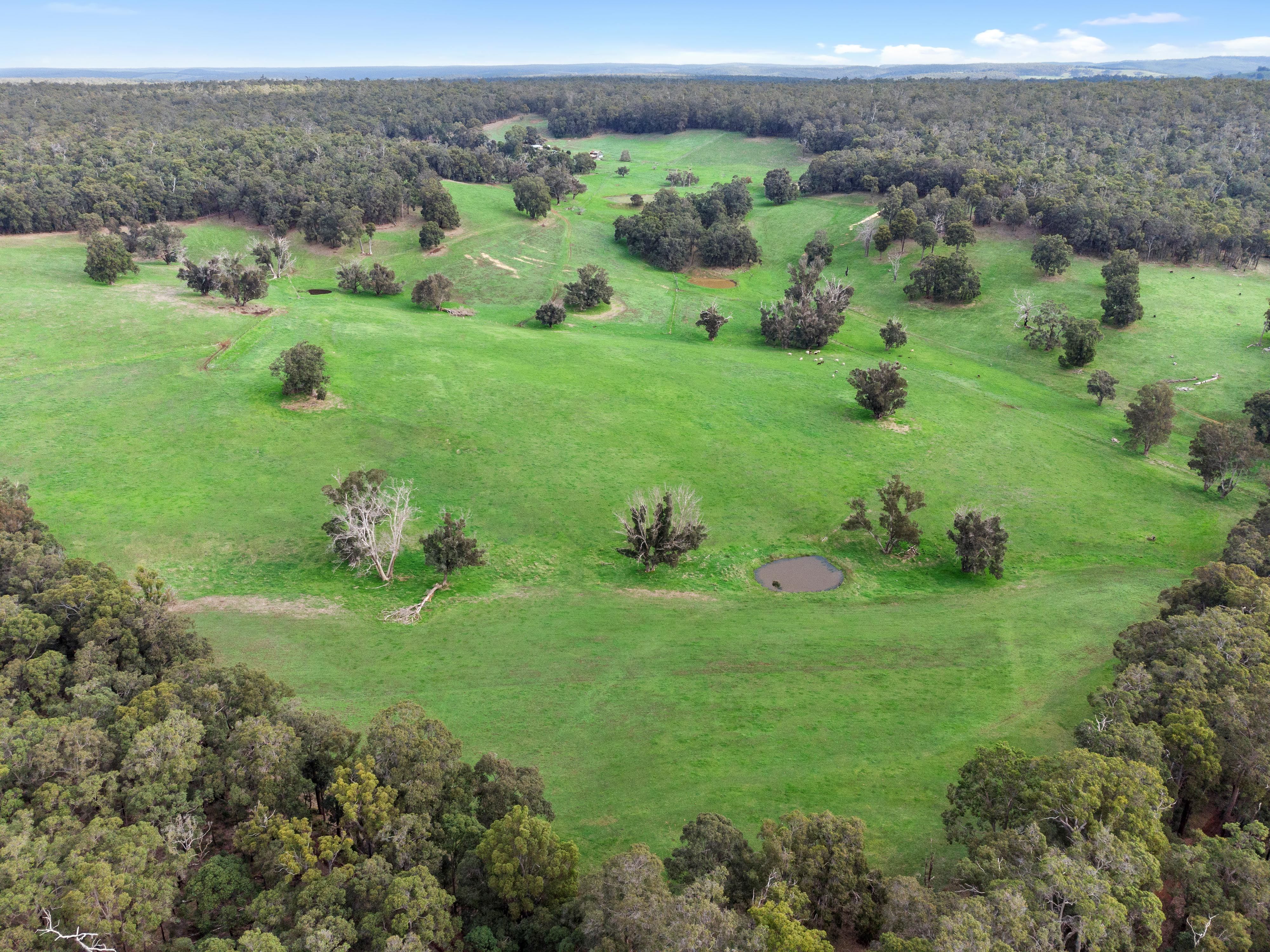 Lot 8474 Da Ronchs Road, North Greenbushes, WA