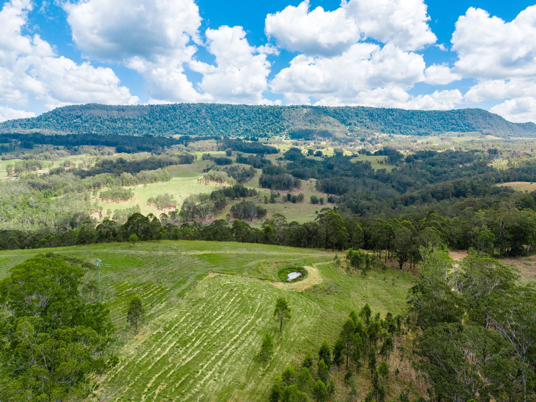497 Yabbra Road, Bonalbo via, Casino, NSW 2470