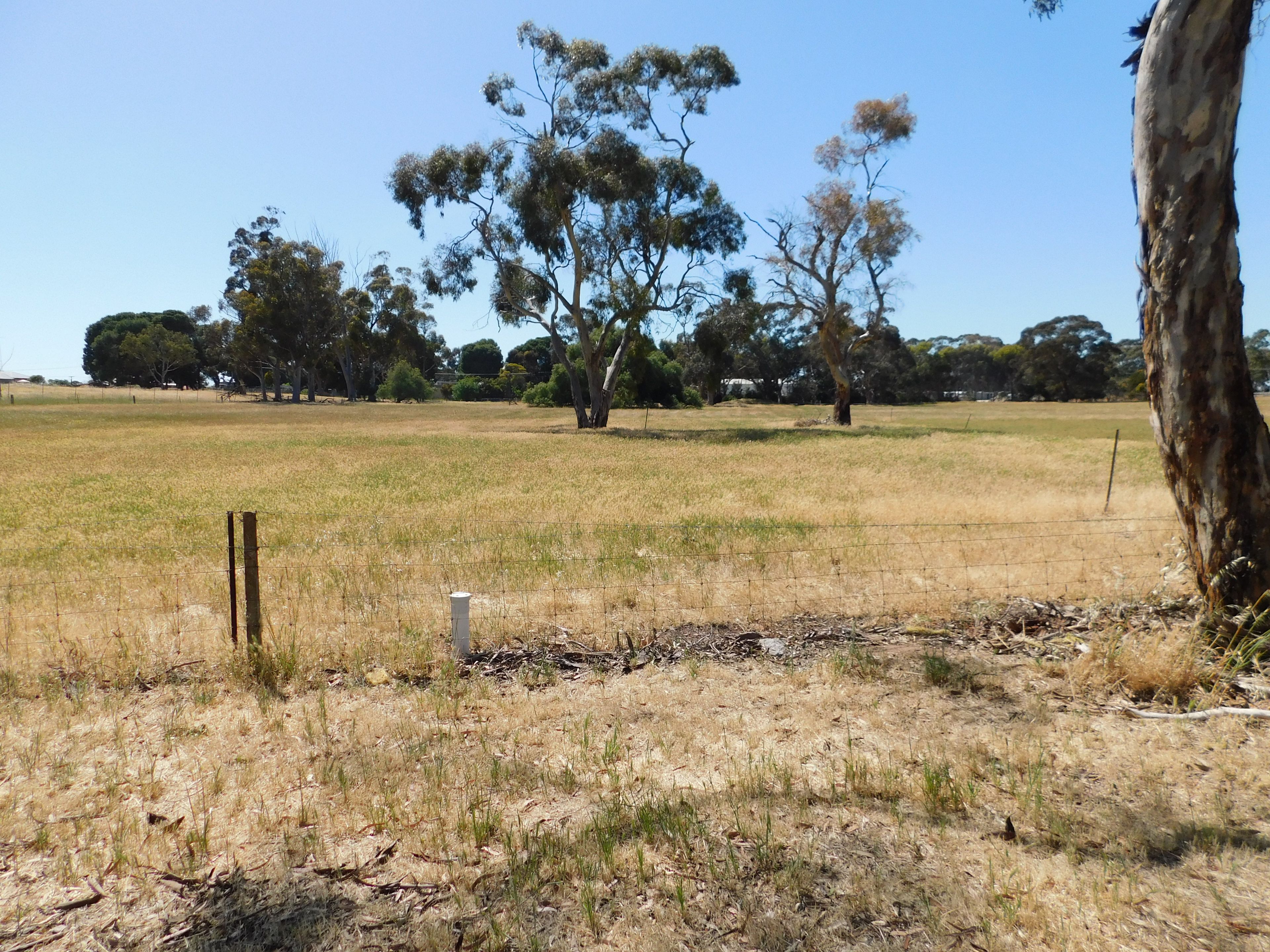 2 Western Drive, Bordertown, SA 5268 Land for Sale Ray White