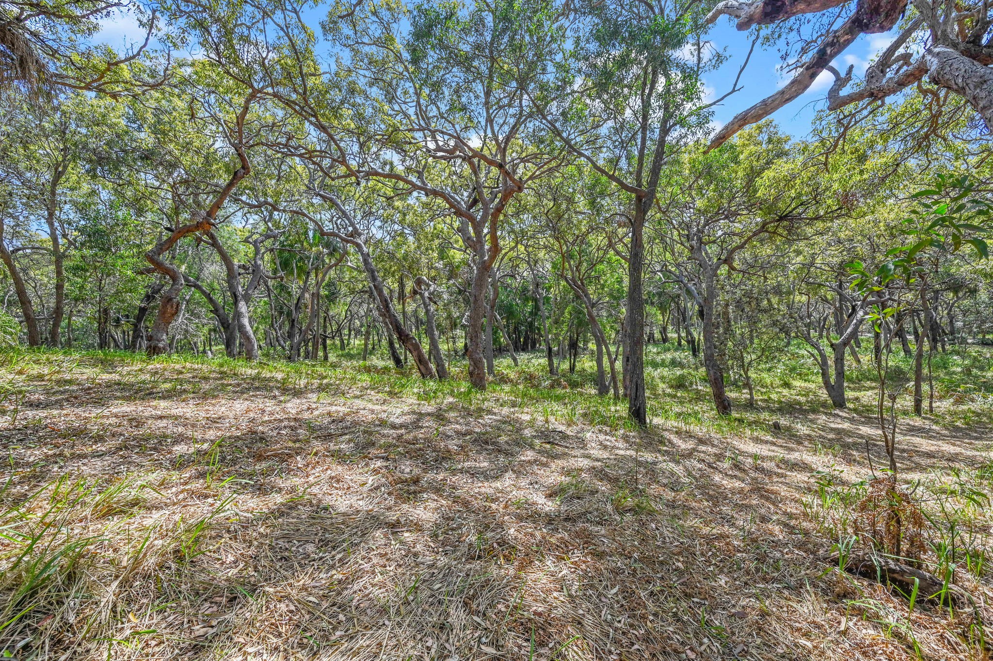 76 Bloodwood Drive, Agnes Water, QLD 4677