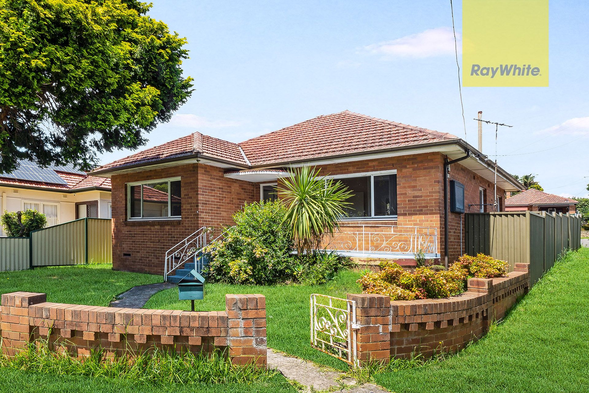 31 Webb Street, Riverwood NSW 2210
