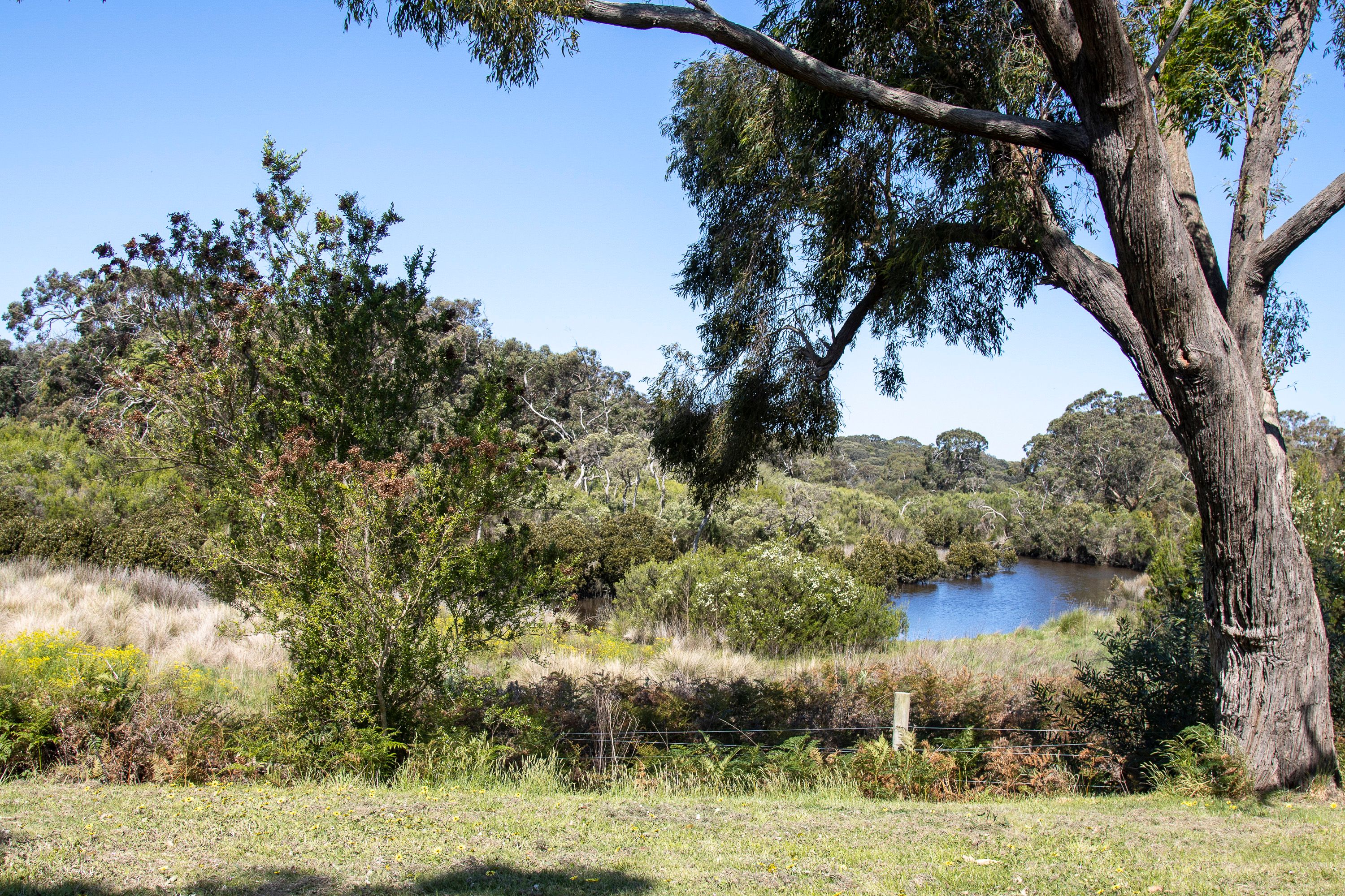 8 Bennison Way, Inverloch, VIC 3996 Land for Sale Ray White Inverloch