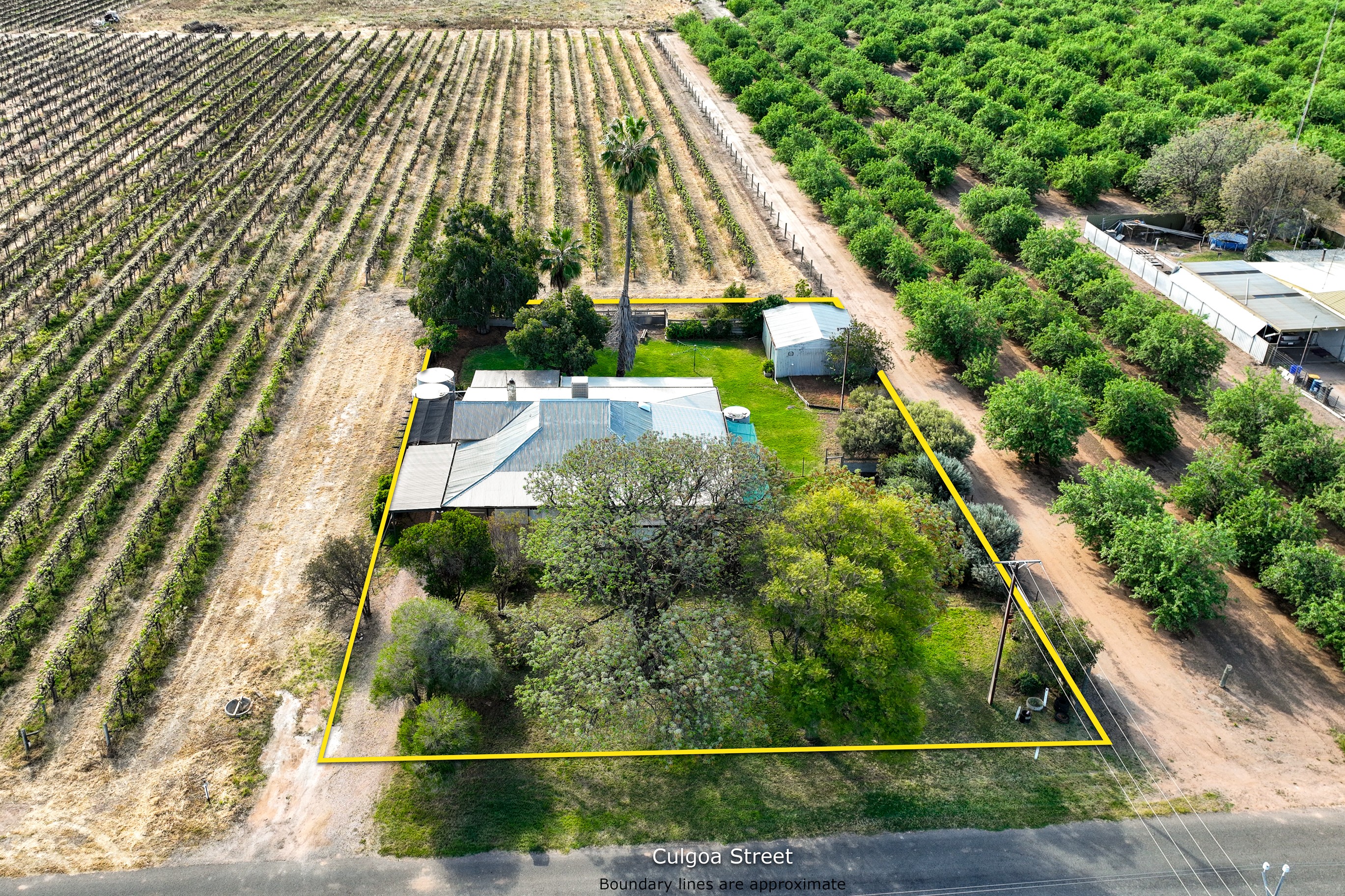 197 Culgoa Street, Renmark North, SA 5341