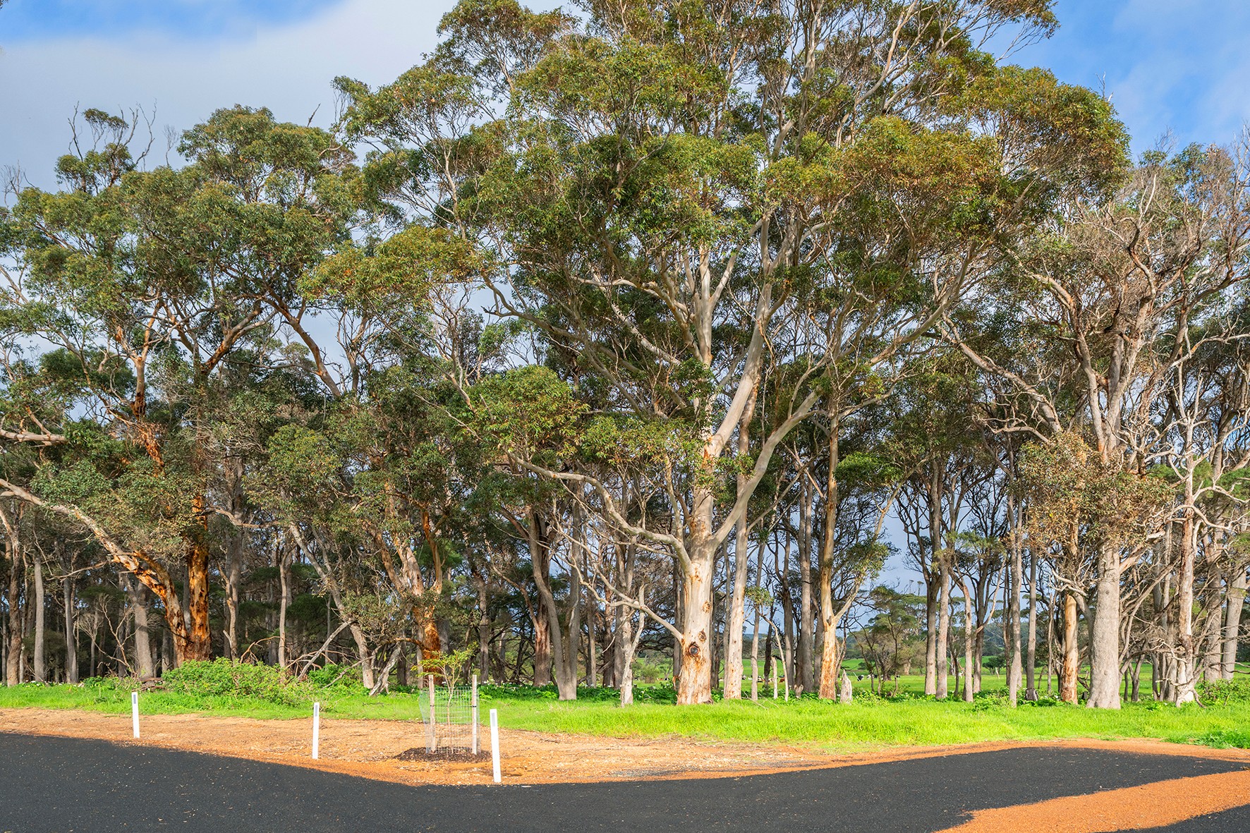 48 Moodjar Court, Karridale, WA 6288