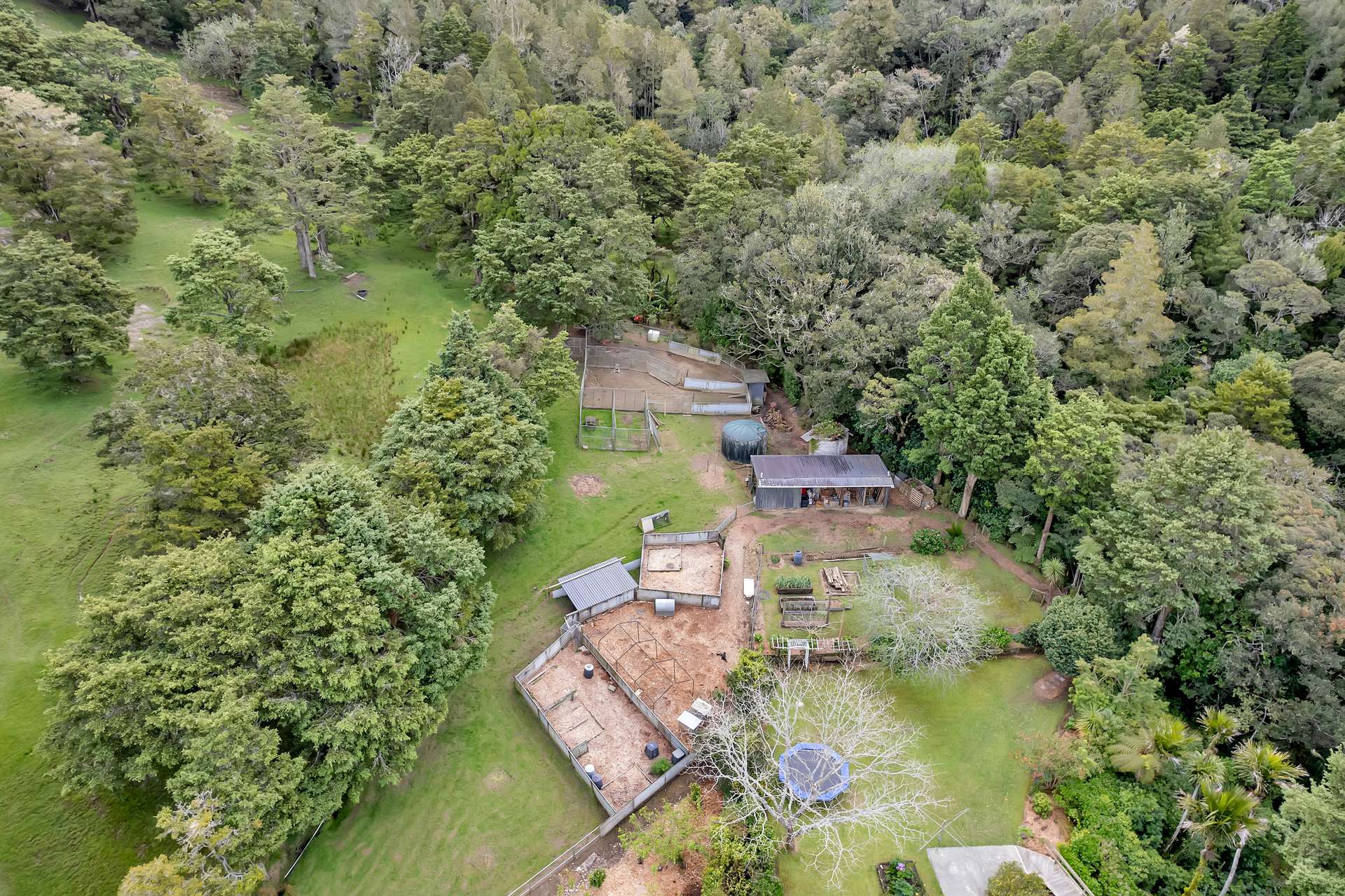 388 Maunu Road photo 19