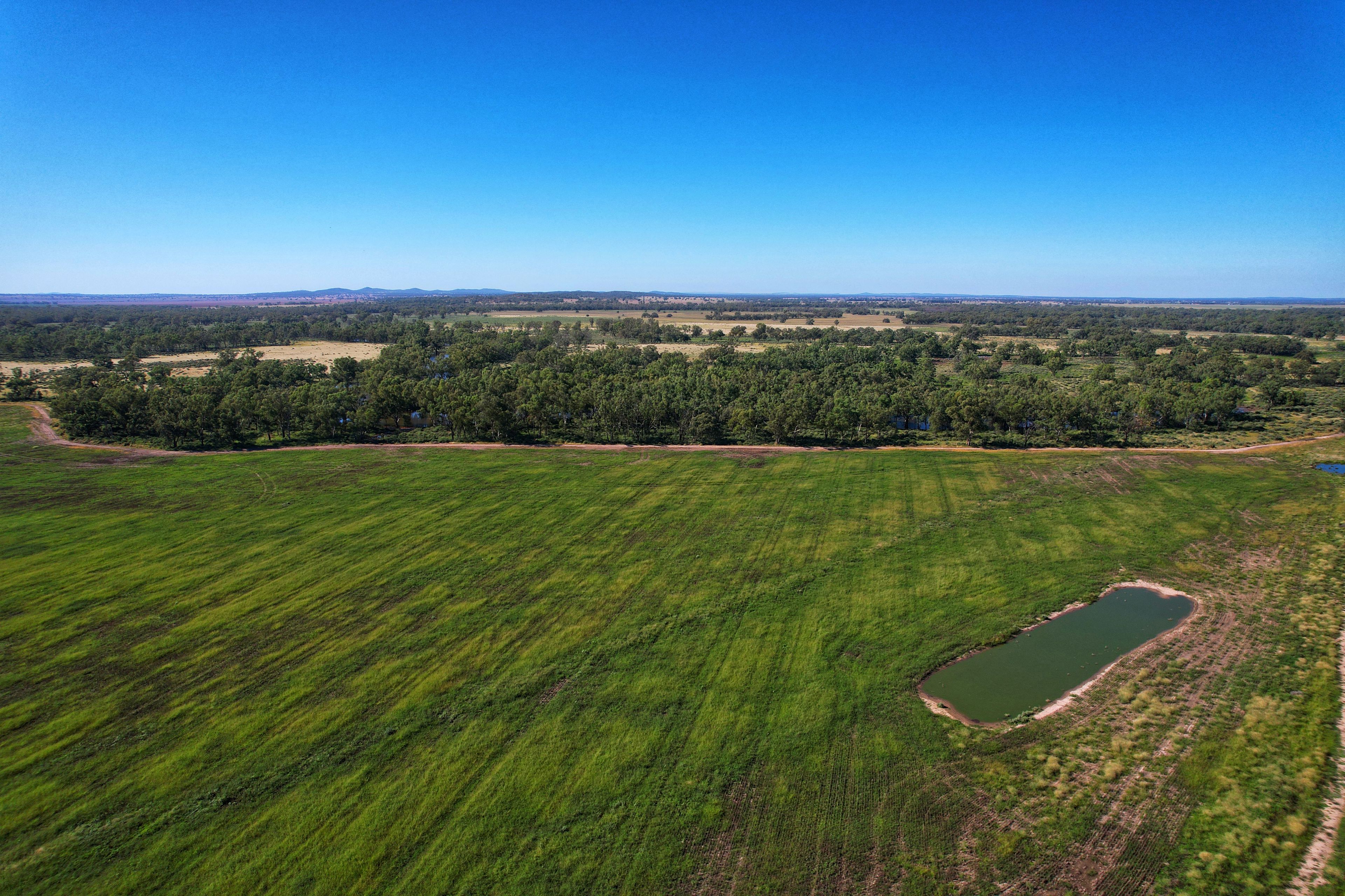 13774 Lachlan Valley Way, Condobolin, NSW 2877