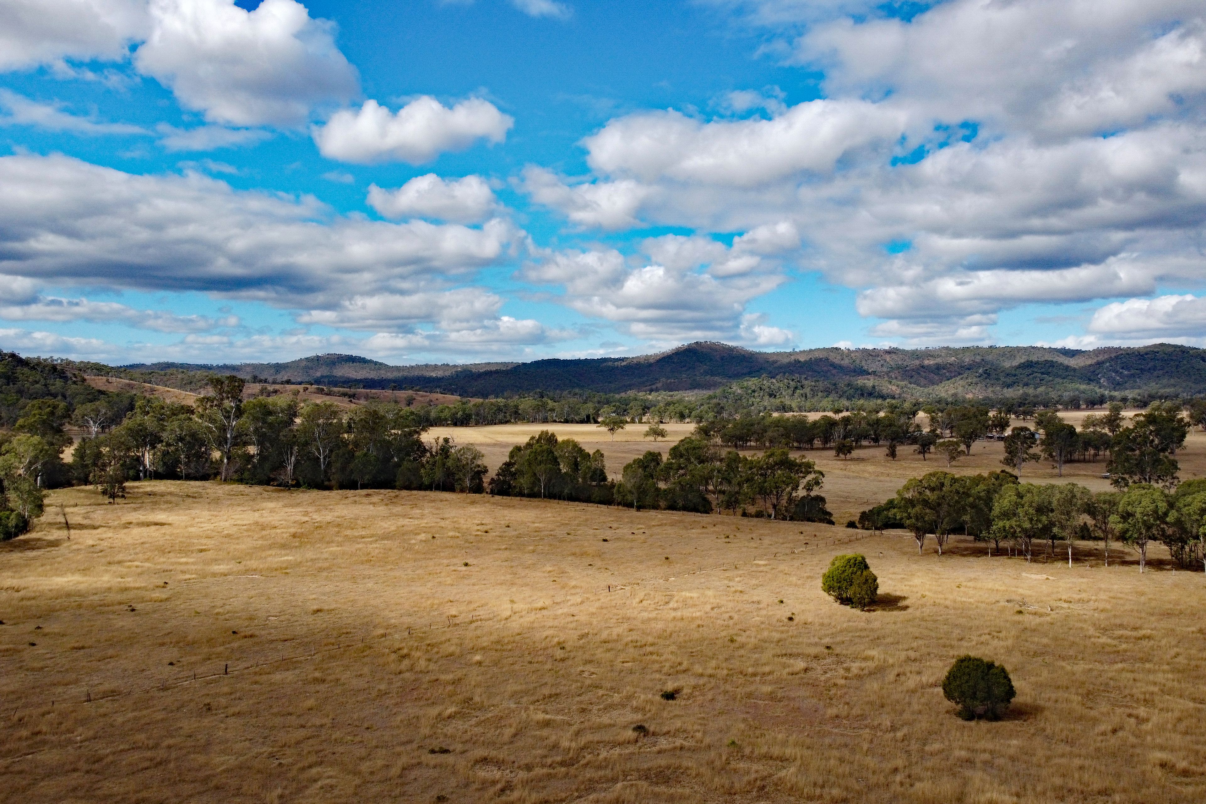 Scrubby Mountain Road, Monto, QLD 4630