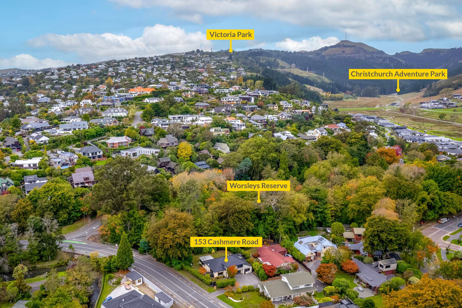 153 Cashmere Road photo 27