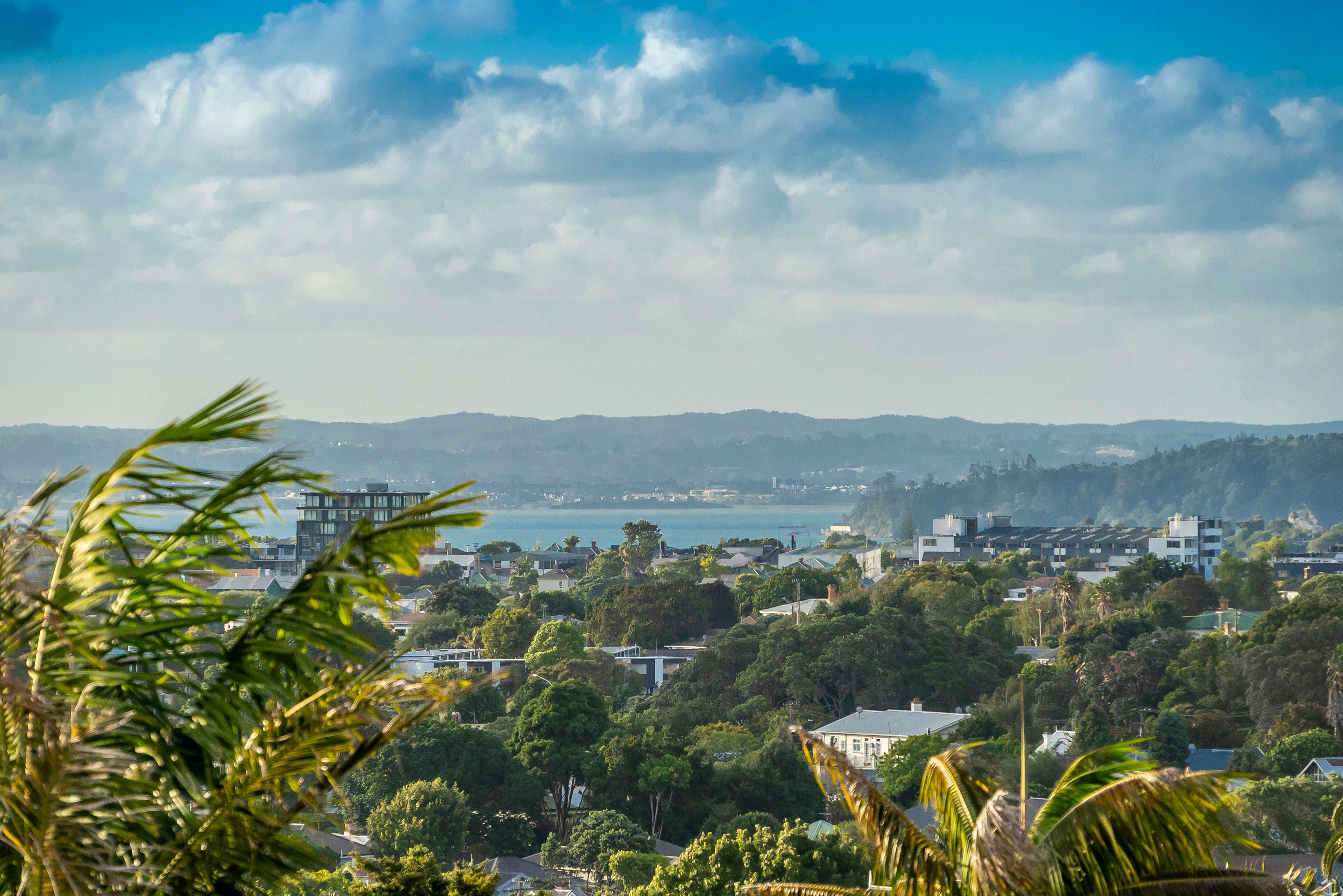 29 Valley Road, Mount Eden, Auckland City