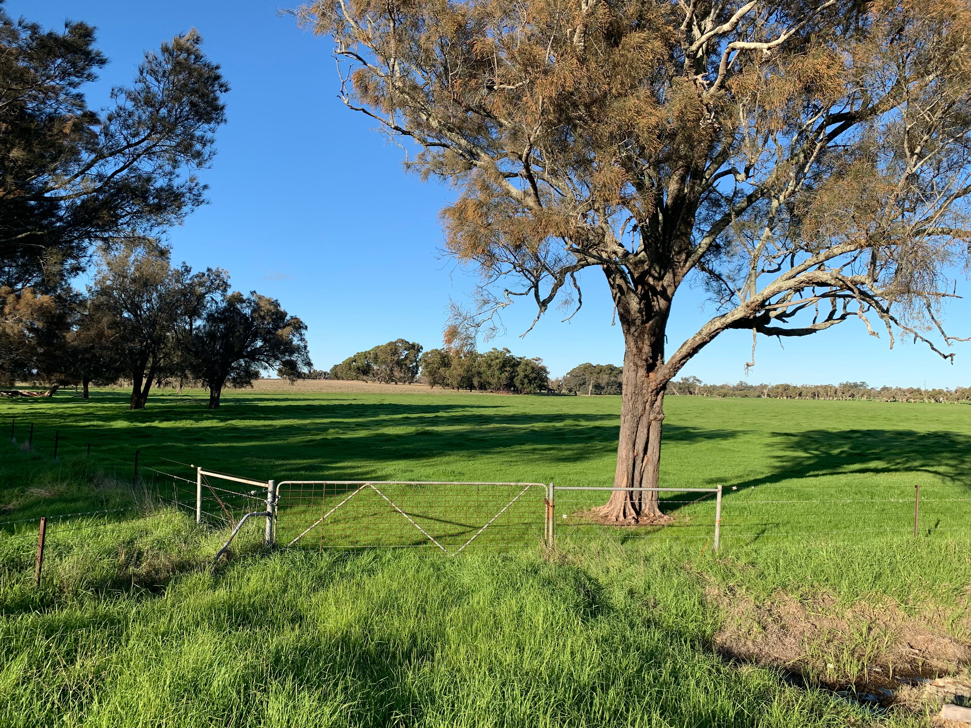 Enrick Farm, Orton Road, Oldbury, WA 6121 Sold Rural Mixed Farming