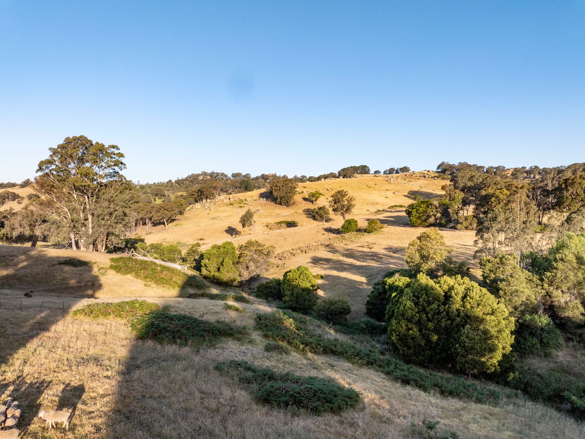 2209B Creightons Creek Road, Creightons Creek, VIC 3666