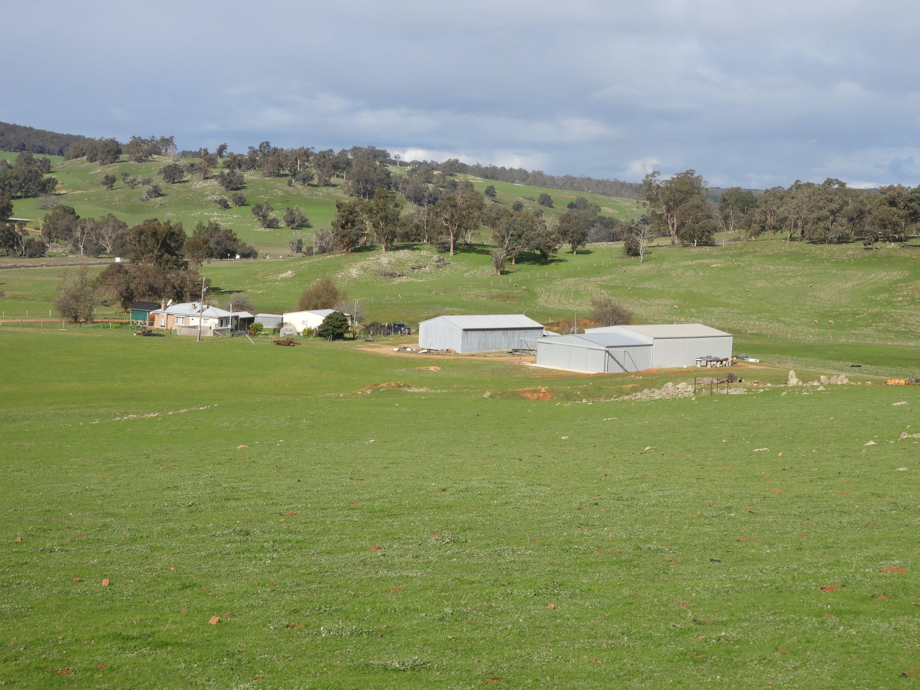 Kyellen Farm, Quindanning-Darkan Road — photo 19 of 30