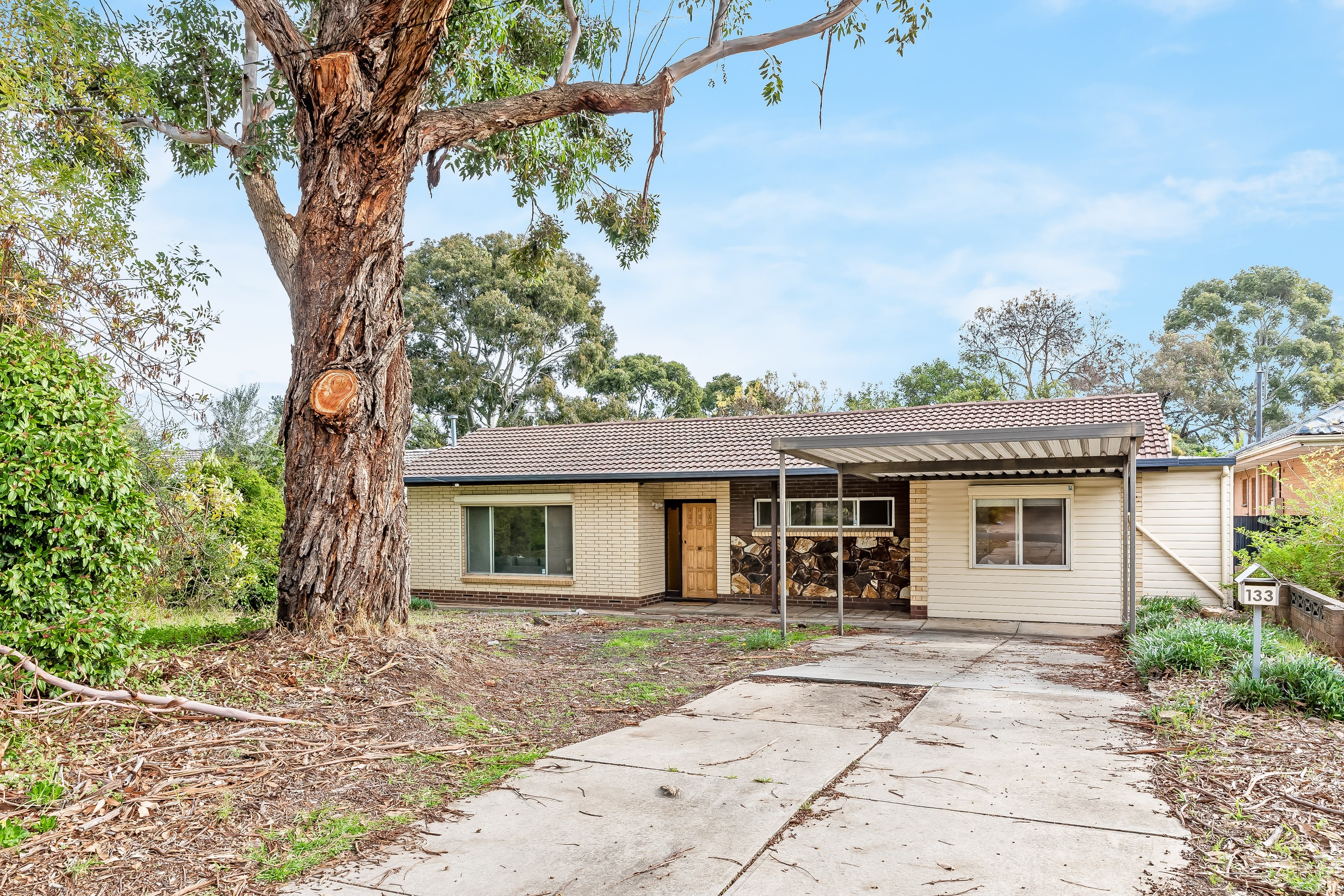 133 Haines Road, Banksia Park, SA 5091