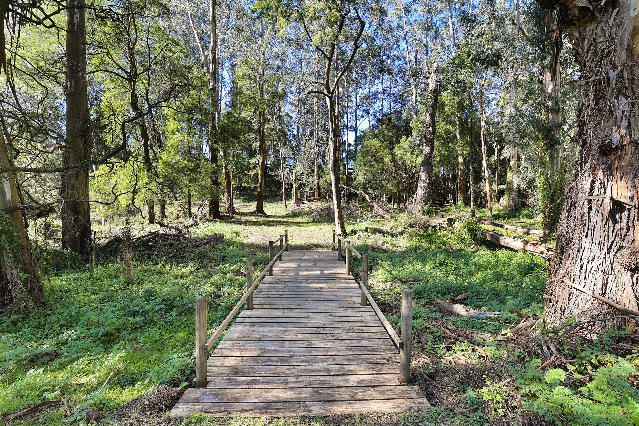 Lot 6 Main South Road, Hallora, VIC 3818