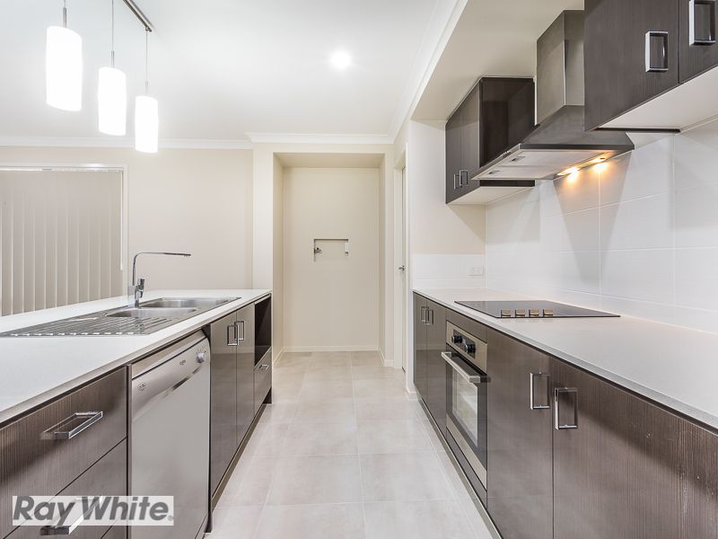 115 Campbell Drive, Mango Hill, QLD 4509