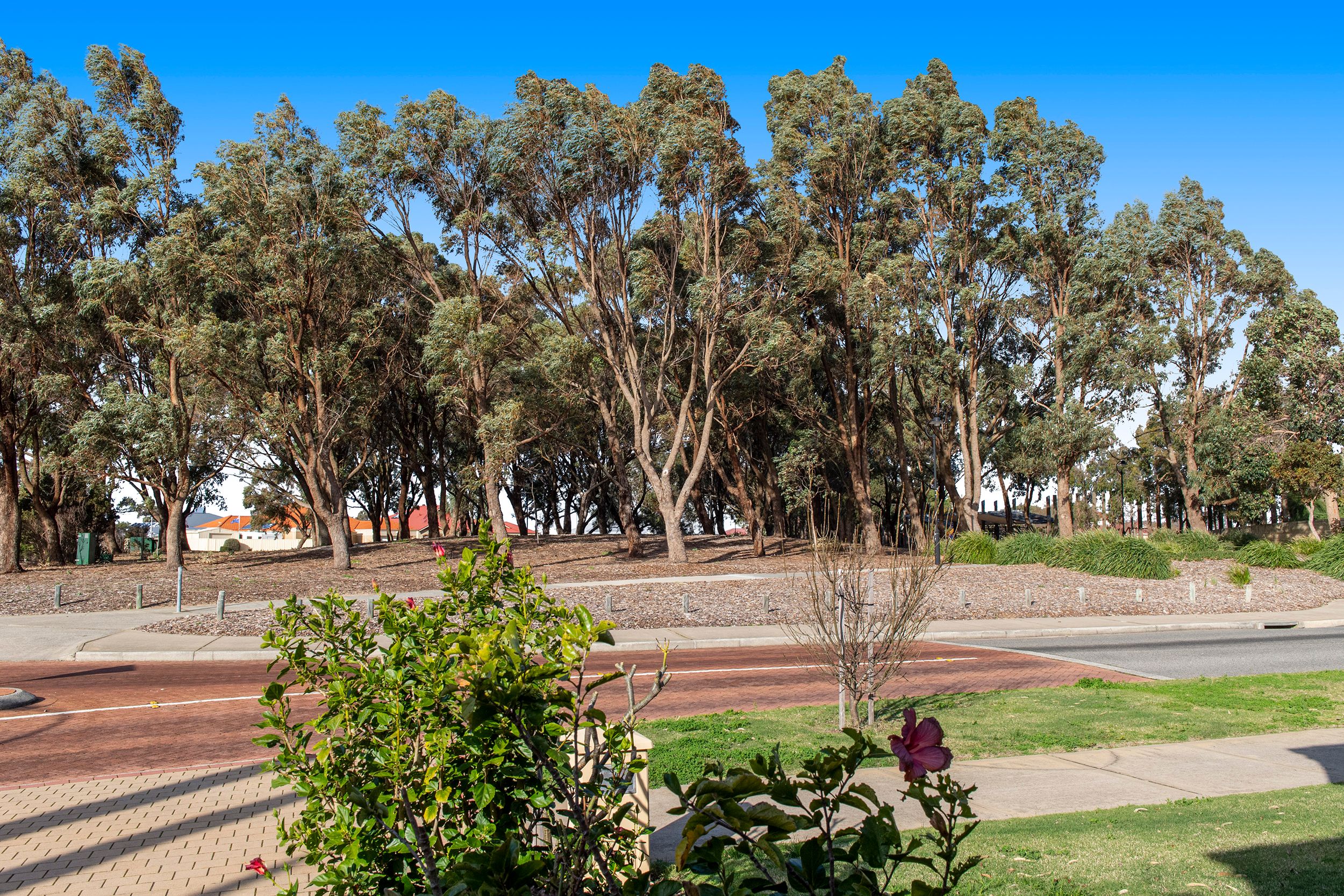 46 Brennan Promenade, Baldivis, WA 6171