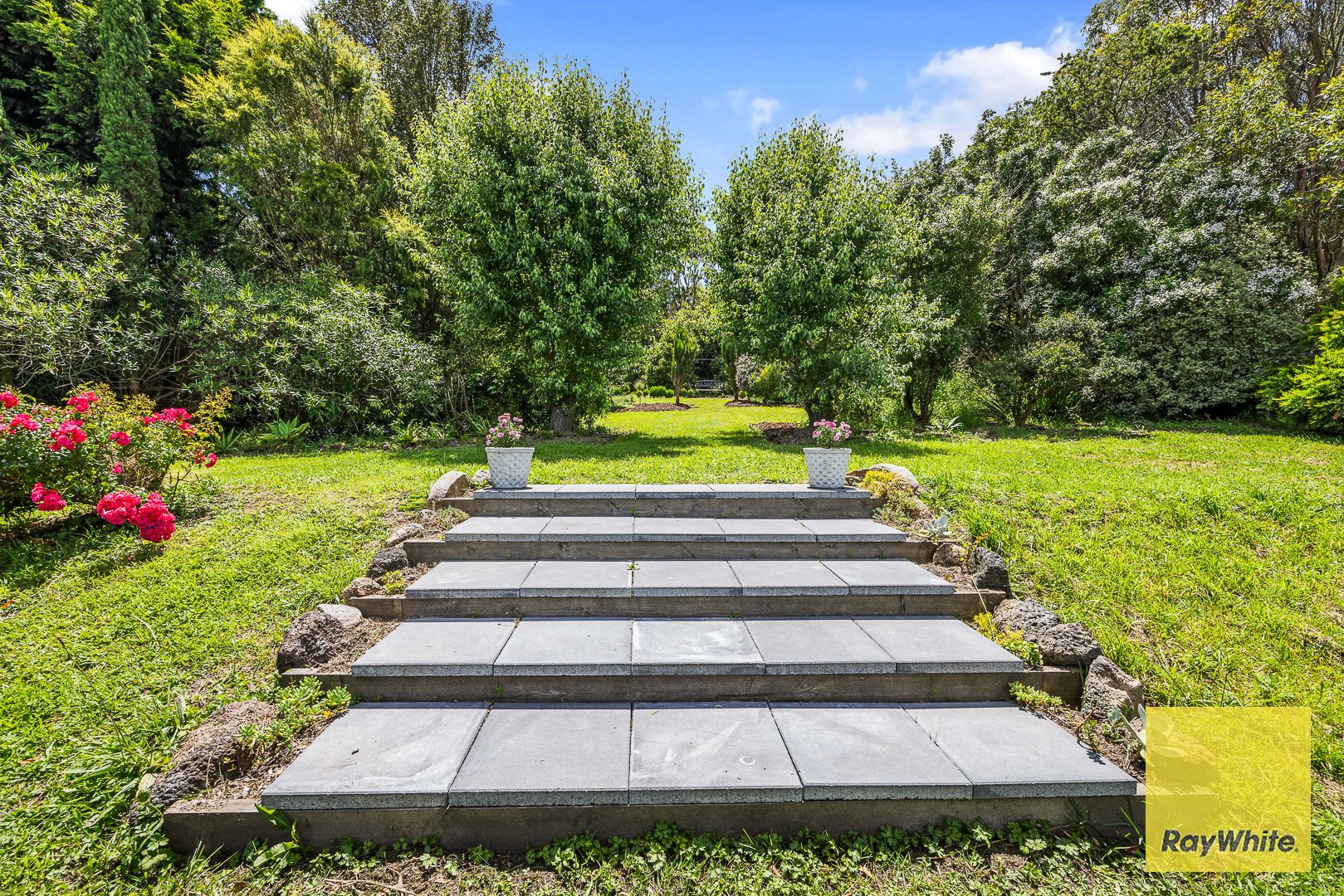 360 O'Grady's Ridge Road — photo 6 of 28