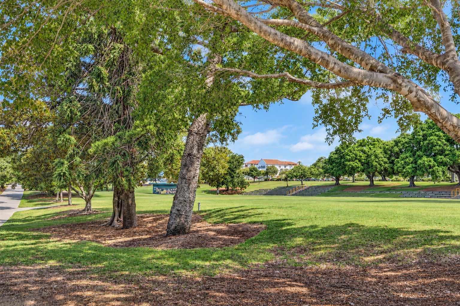1/66 Manning Street — photo 16 of 23