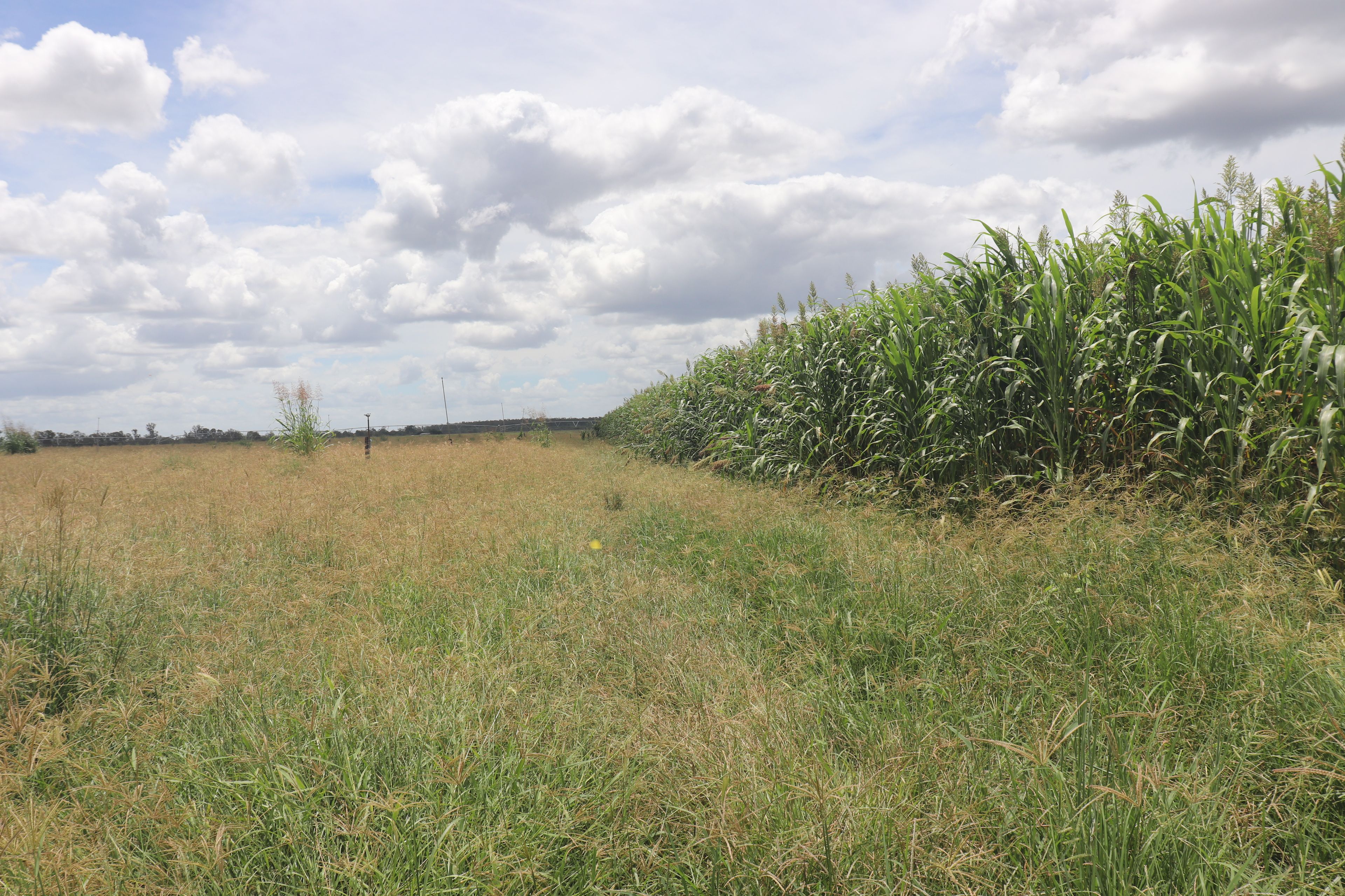 296 O'Bil Bil Road, Malmoe, Eidsvold, QLD 4627 Rural Property for