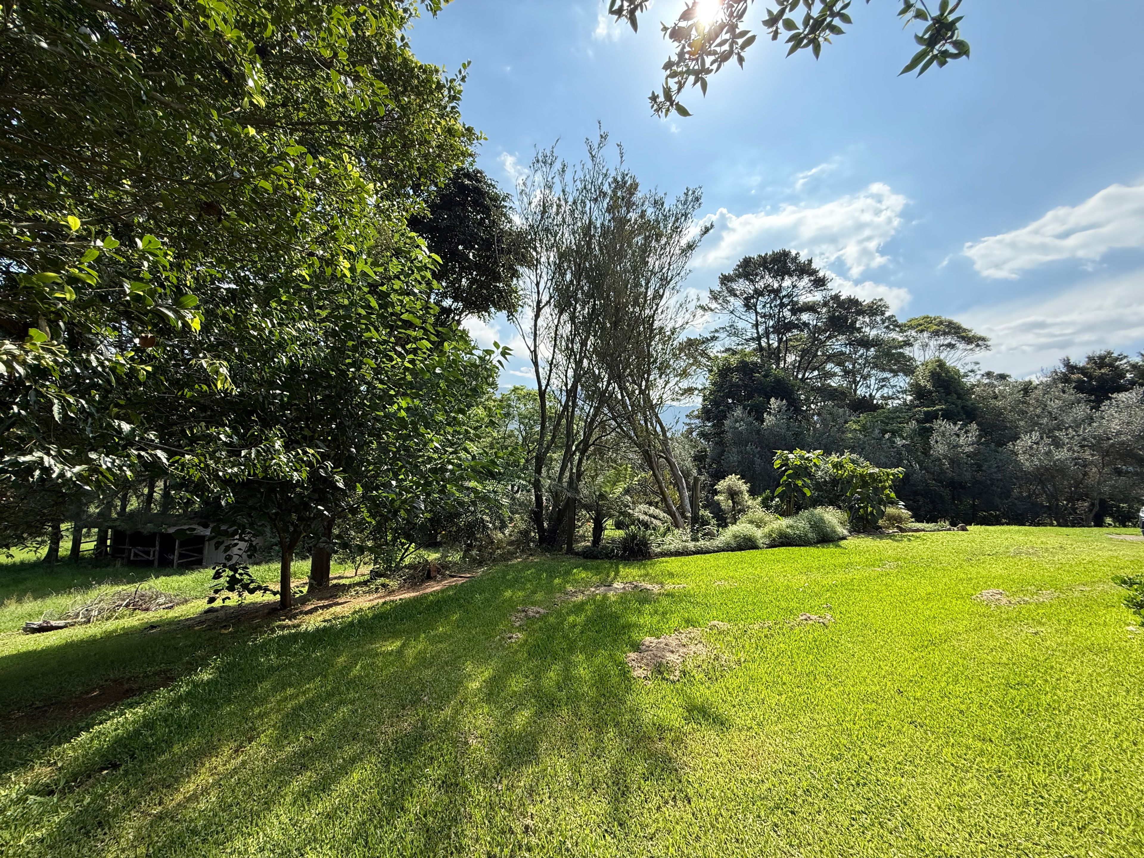 160A Foxground Road, Foxground, NSW 2534