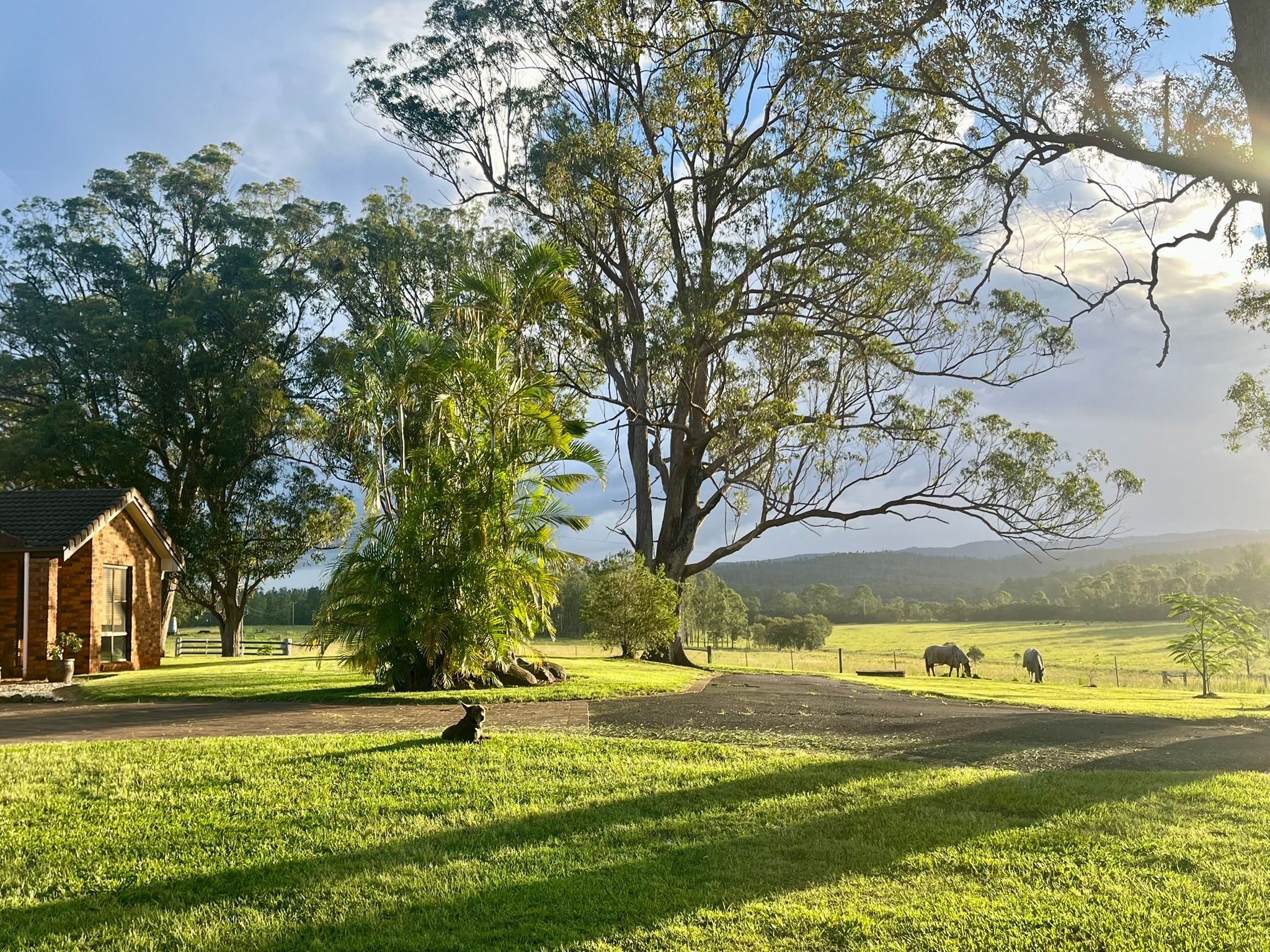 Casino, NSW 2470 — photo from Ray White Casino | Kyogle