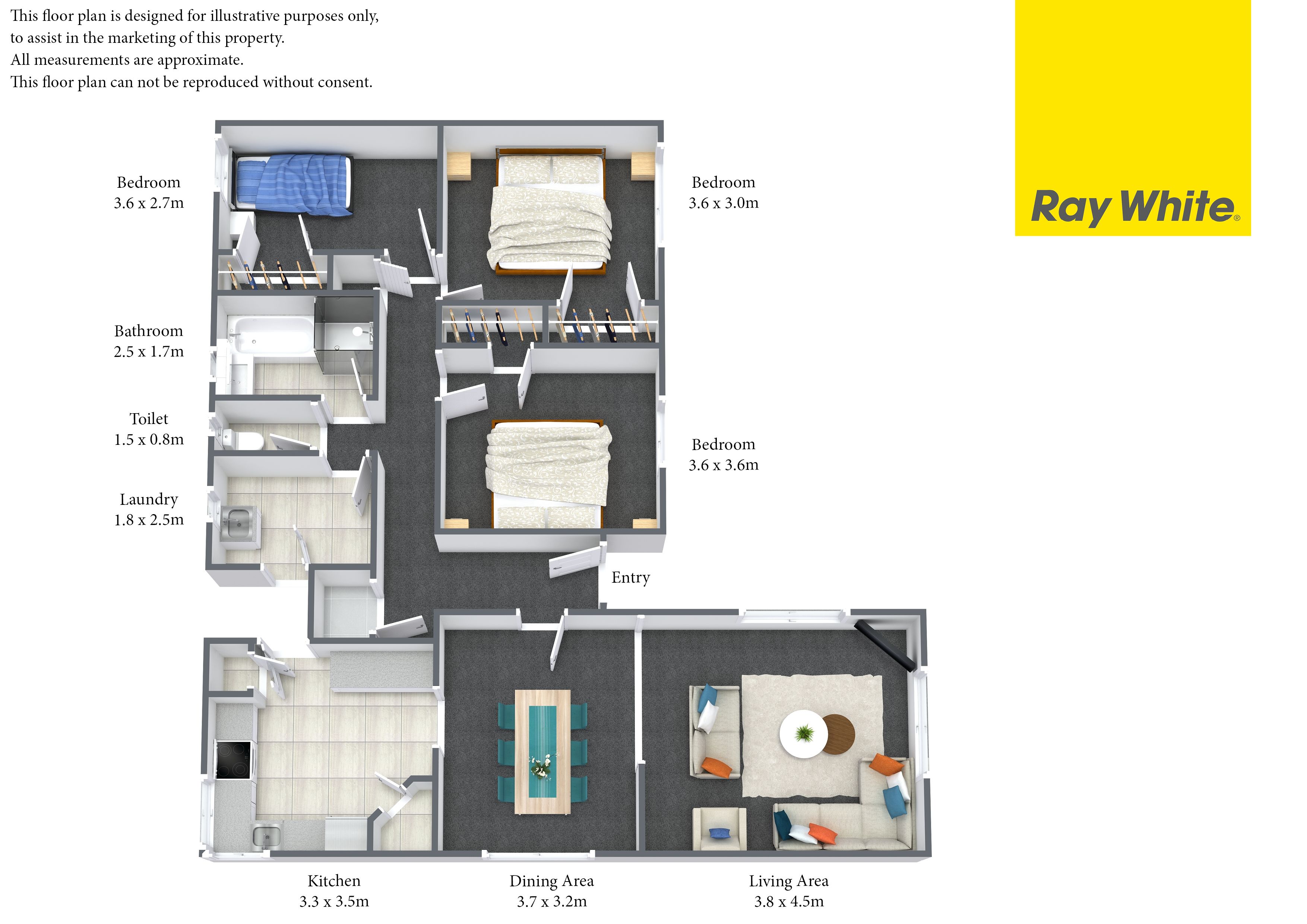 35 York Street, Hamilton East, Hamilton City
