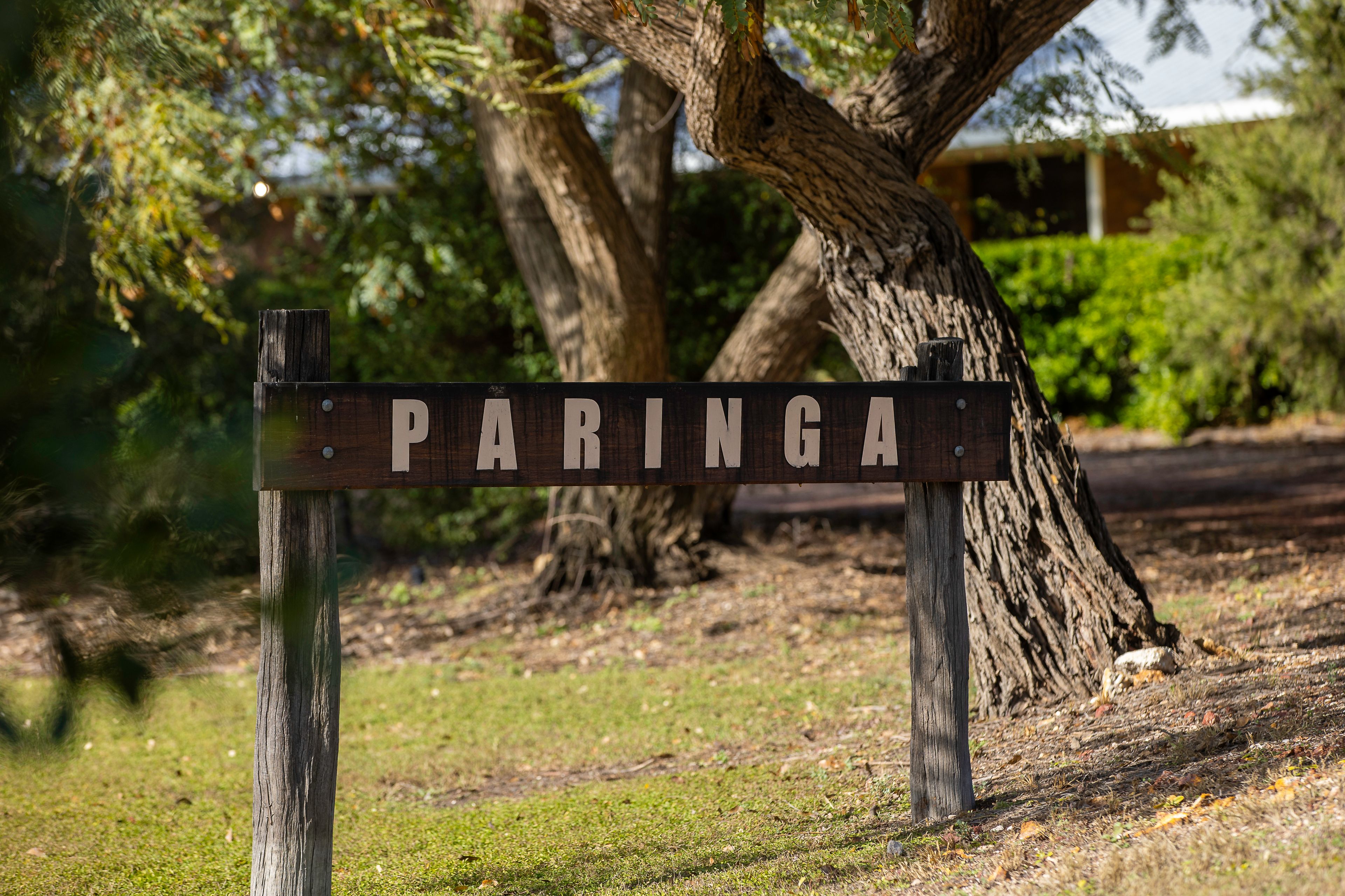 "Paringa", 7365 Talwood Mungindi Road, MUNGINDI, QLD 2406