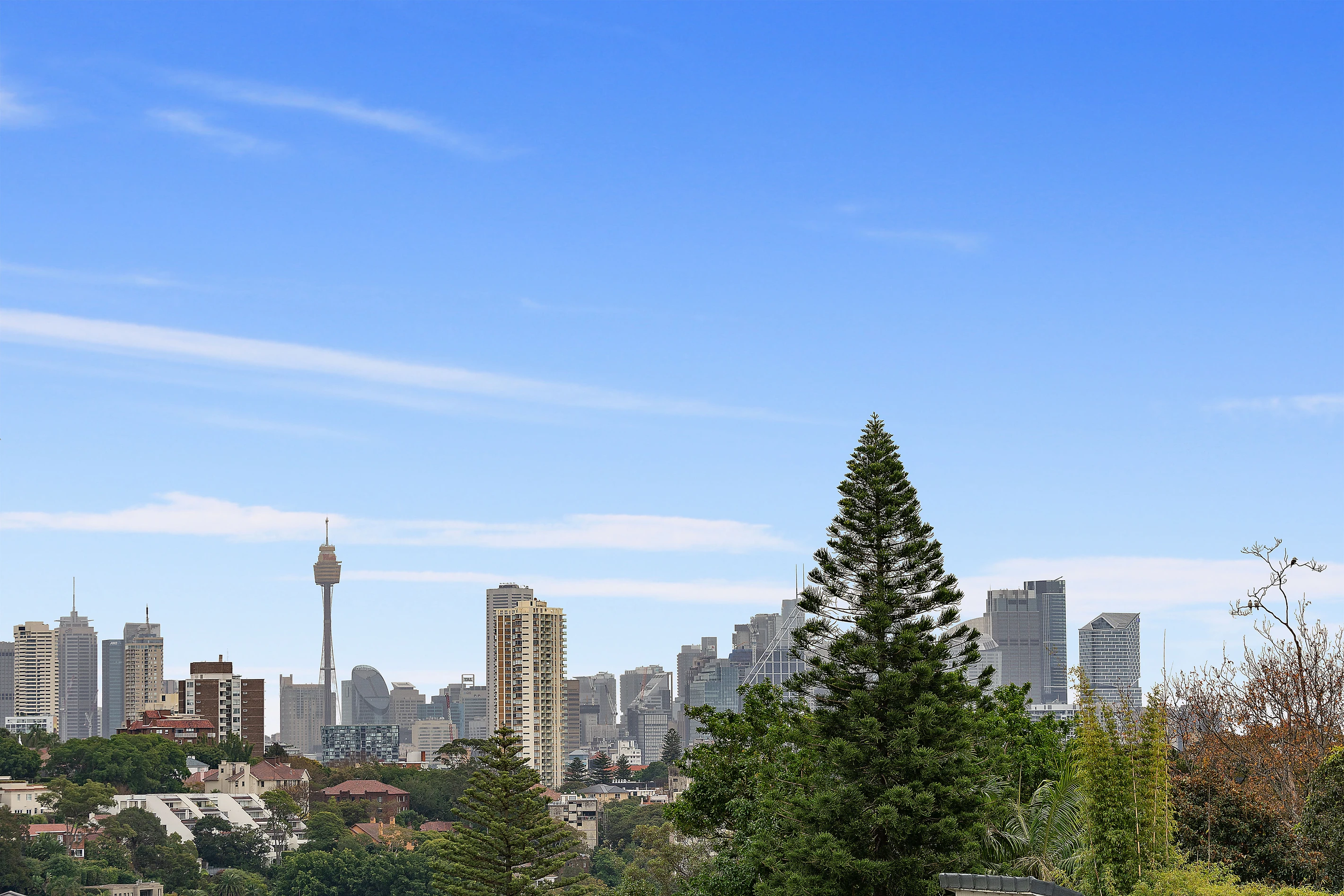 4/22 Streatfield Road, Bellevue Hill, NSW 2023