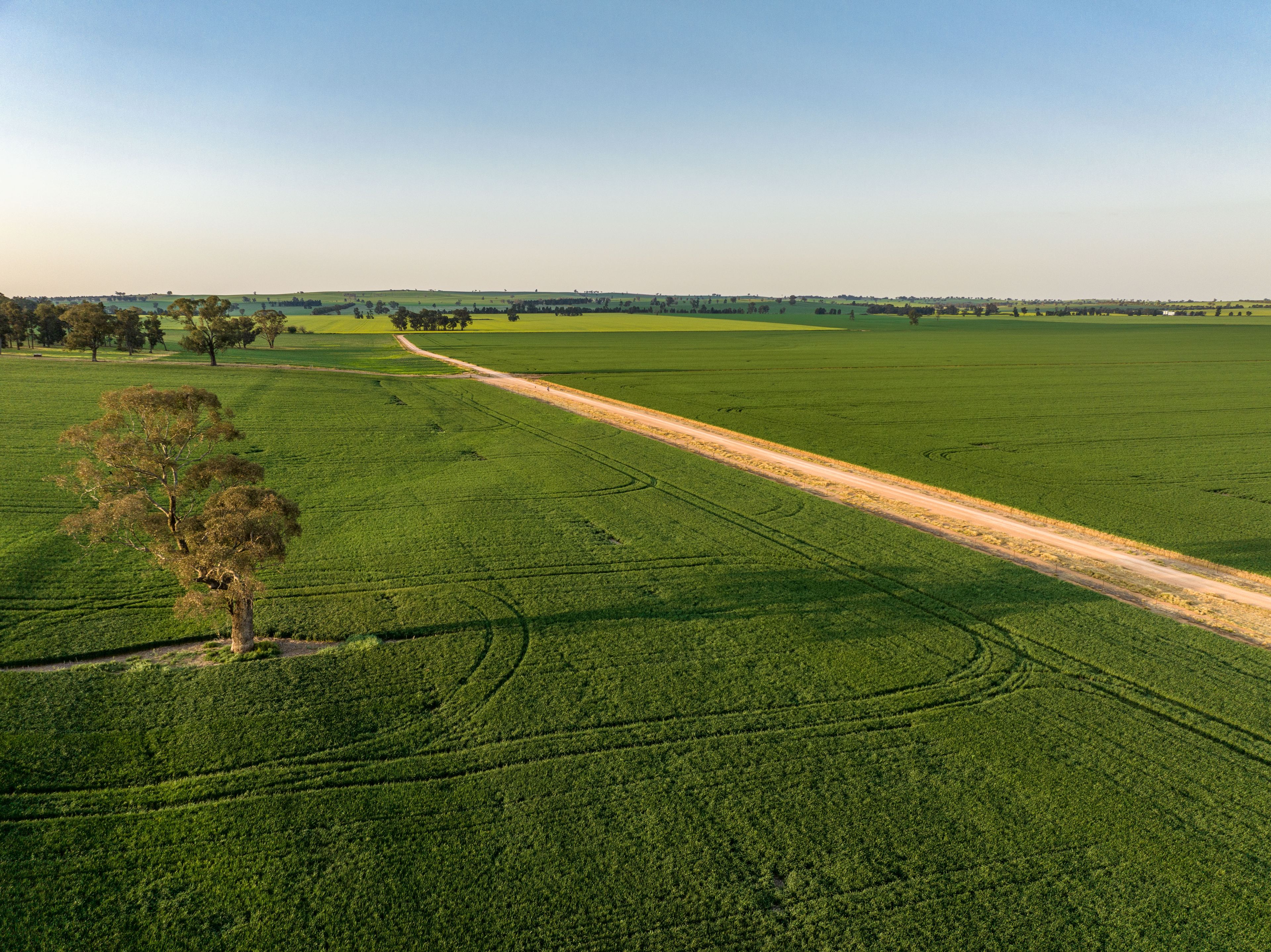 "Glenholme" 2214 Coolamon Road, Coolamon, NSW 2701 Sold Rural Mixed