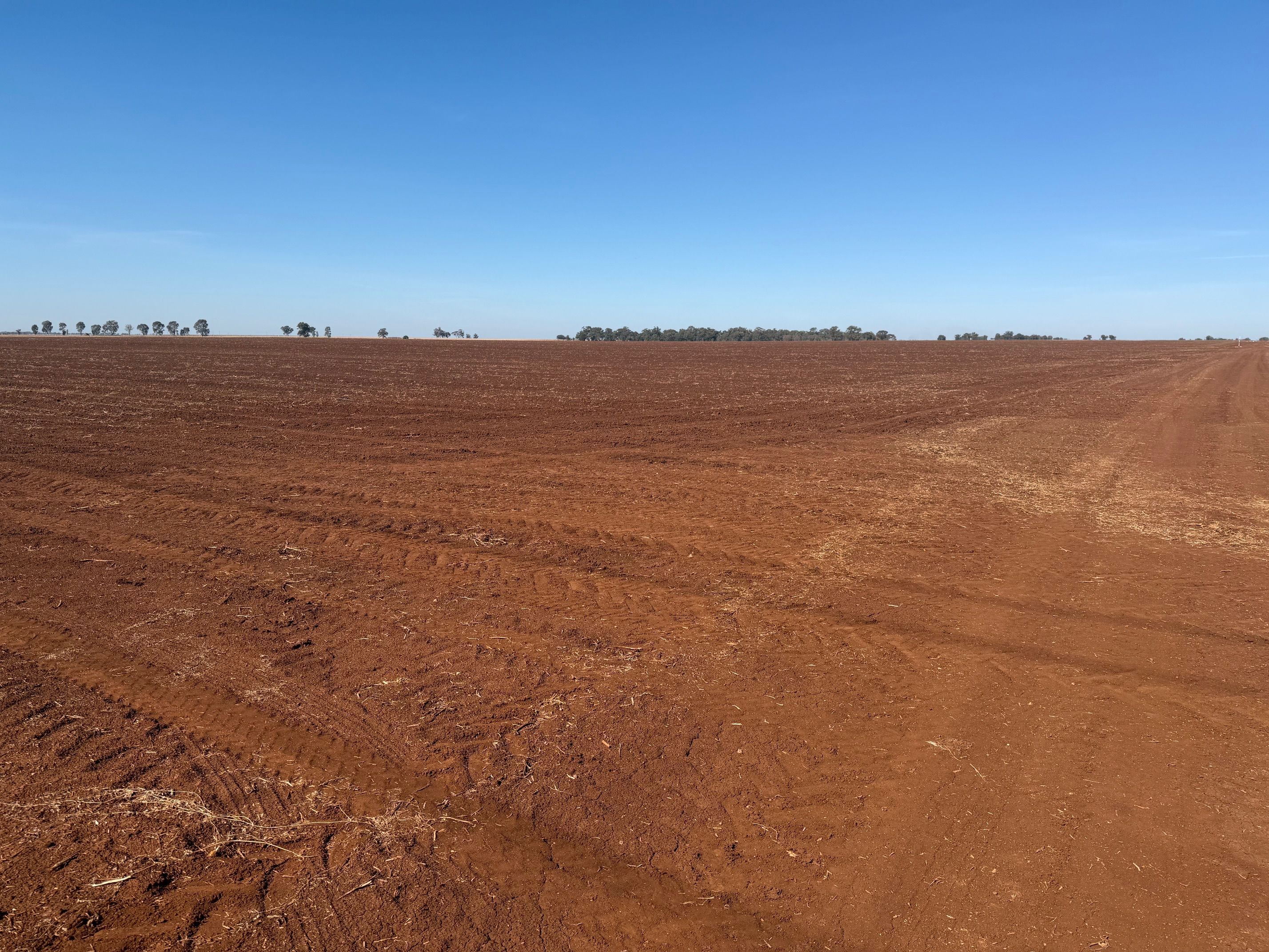 Lot 2 PS445124Y Wilson Road — photo 4 of 5