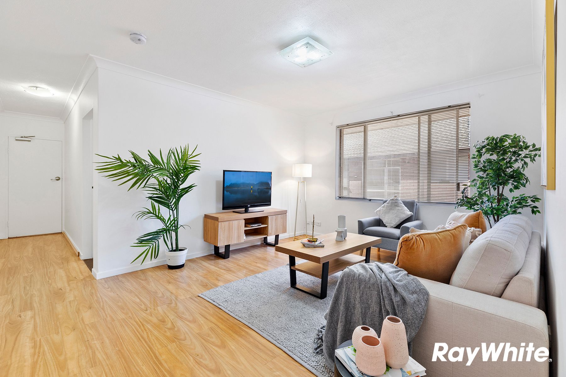 31 McCourt Street, Wiley Park NSW 2195