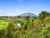182 Mangauika Road photo 23