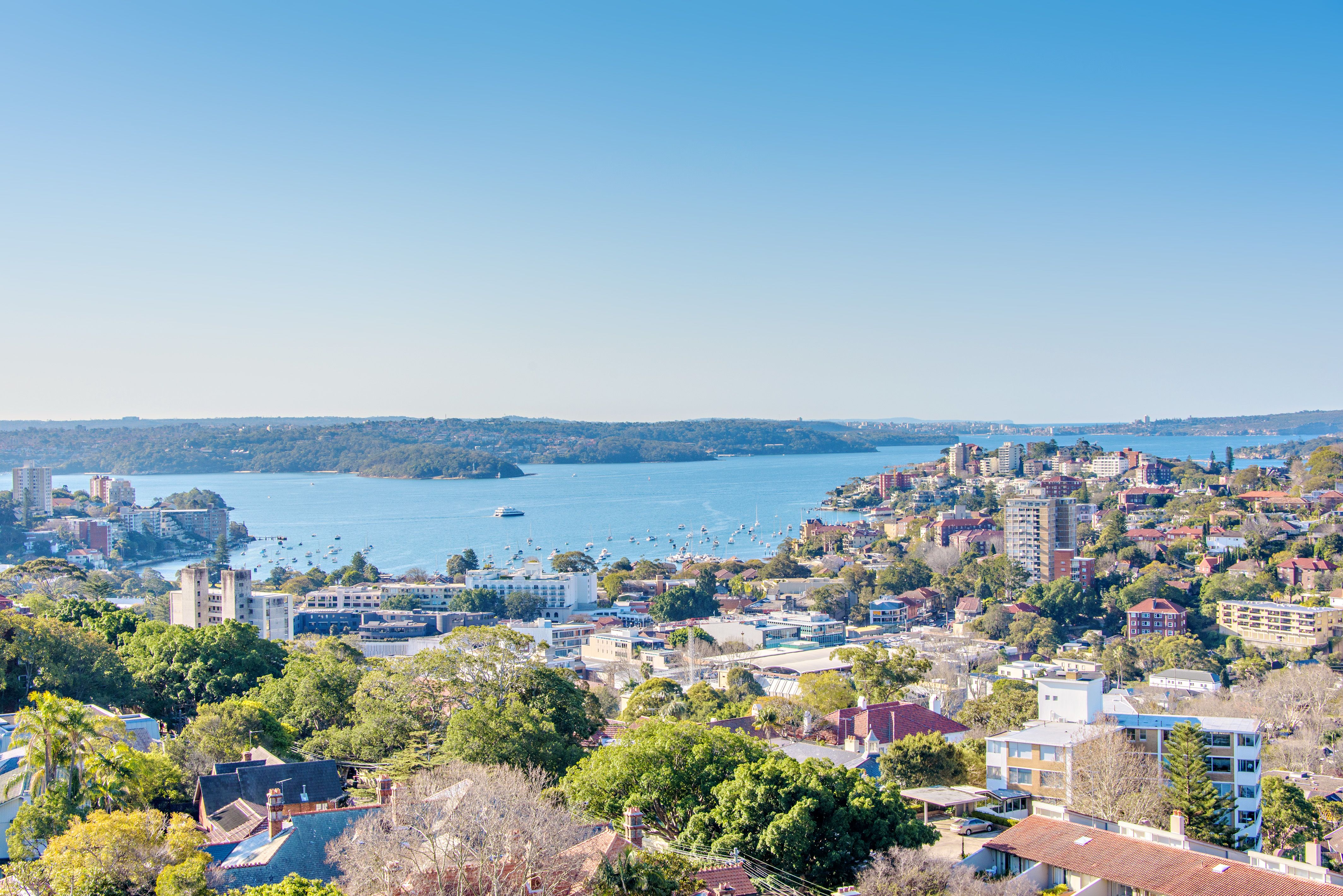 6 Trelawney Street, Woollahra NSW 2025