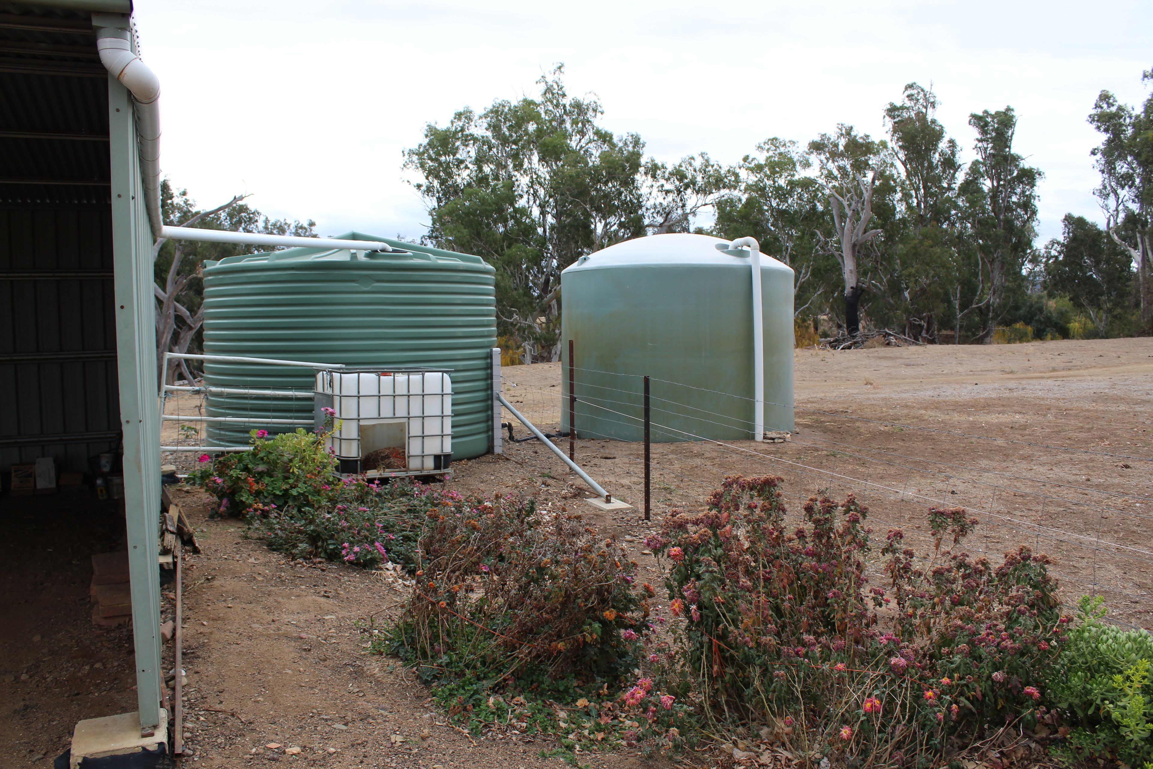 Gunnedah, NSW 2380 House for Rent Ray White Fleming & Ross