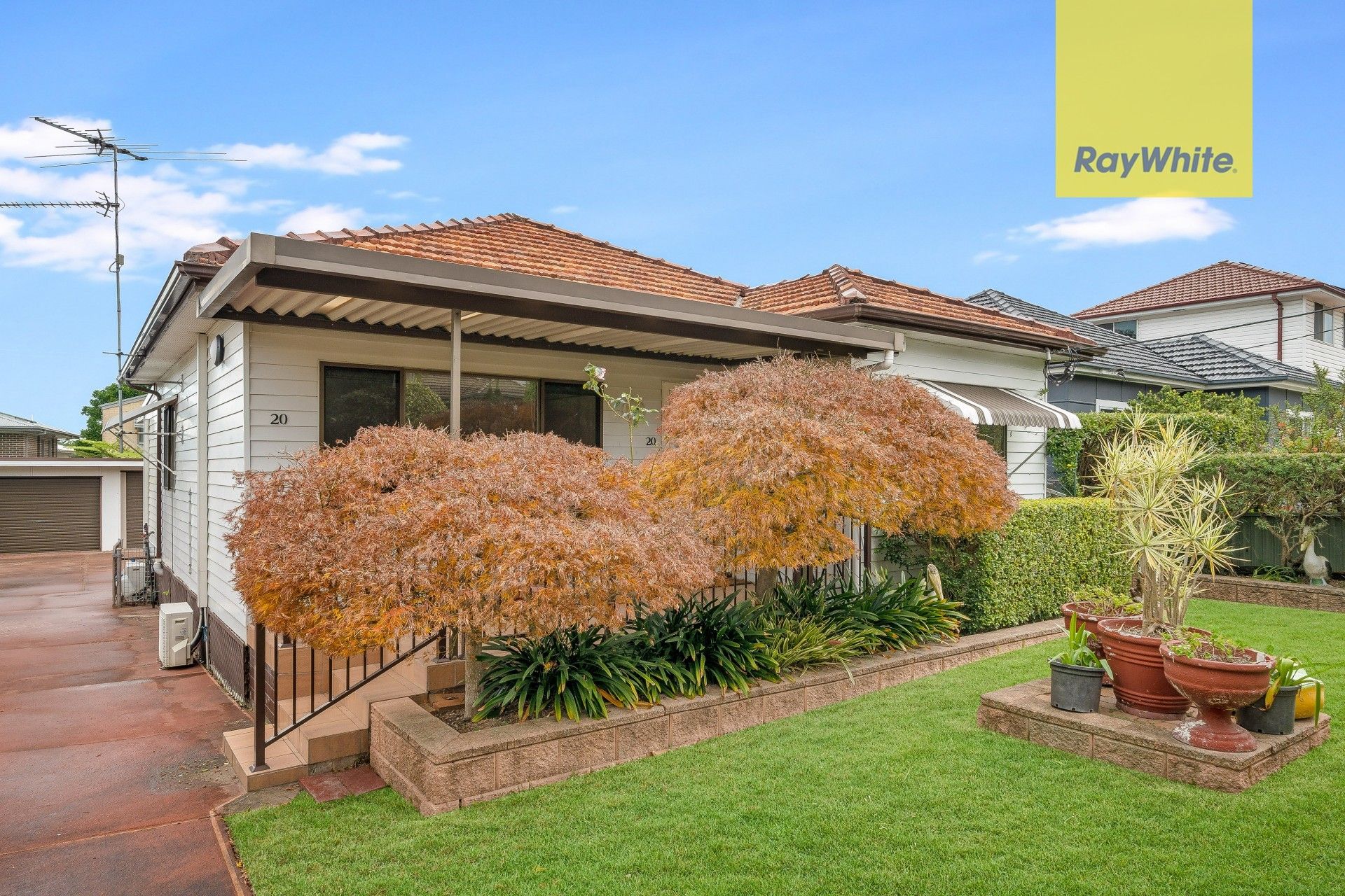 20 Hayes Avenue, Northmead NSW 2152