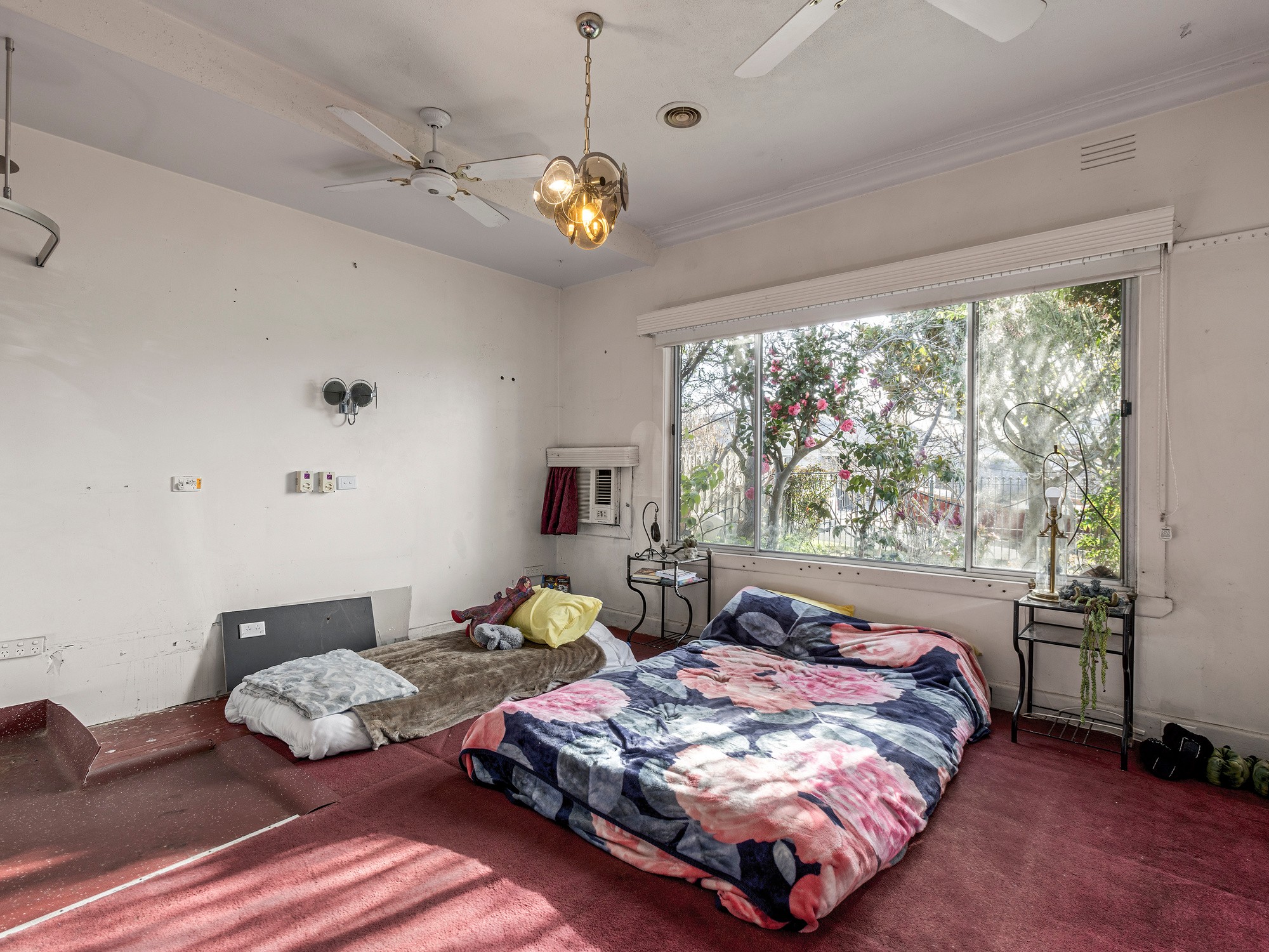 14 Giddings Street, North Geelong, VIC 3215