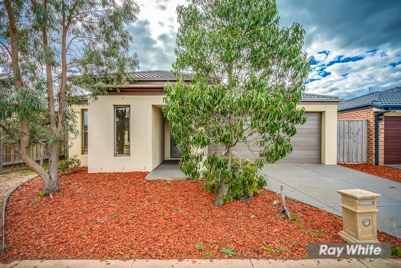 26 Evadene Drive, Tarneit, VIC 3029