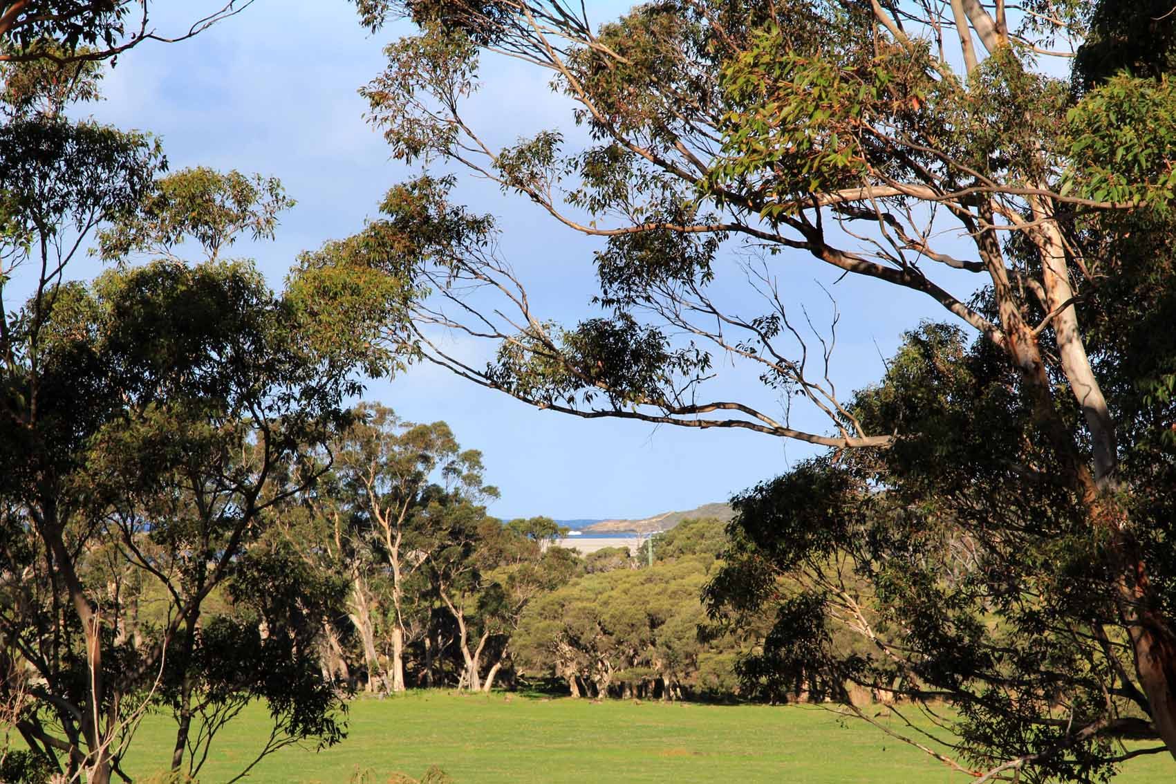 26 Lights Road, Denmark, WA 6333