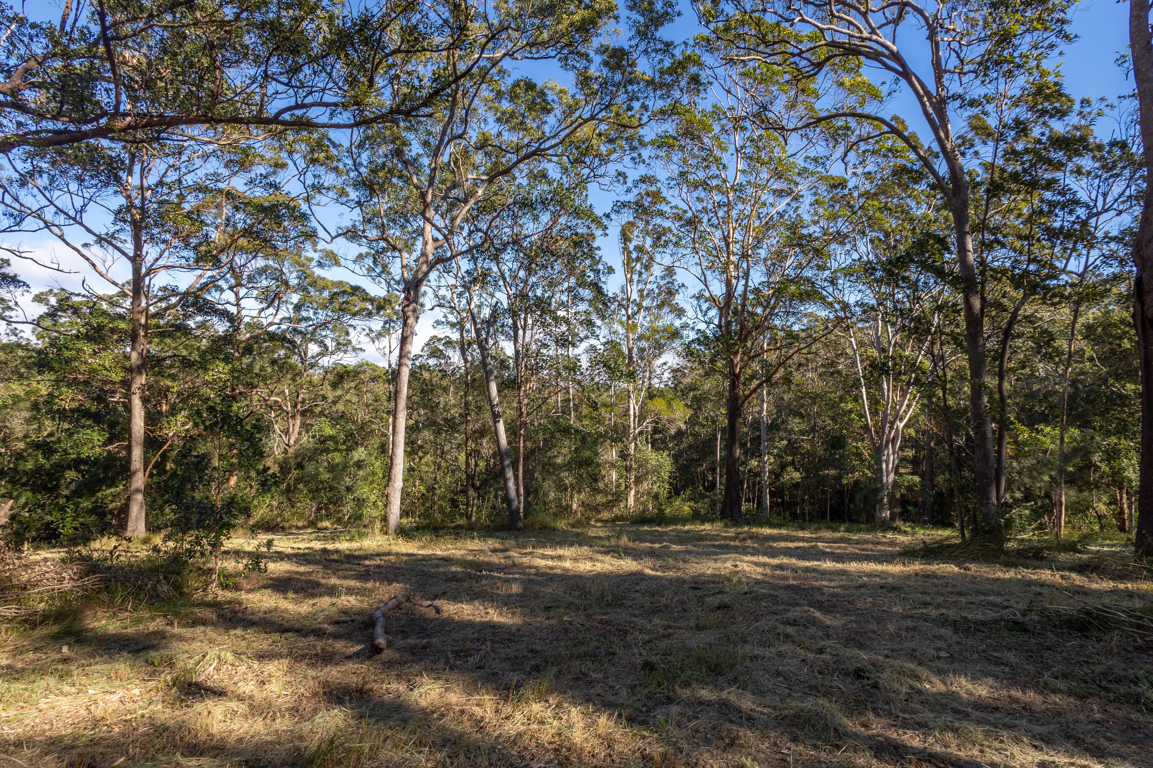 Ocean View, QLD 4521