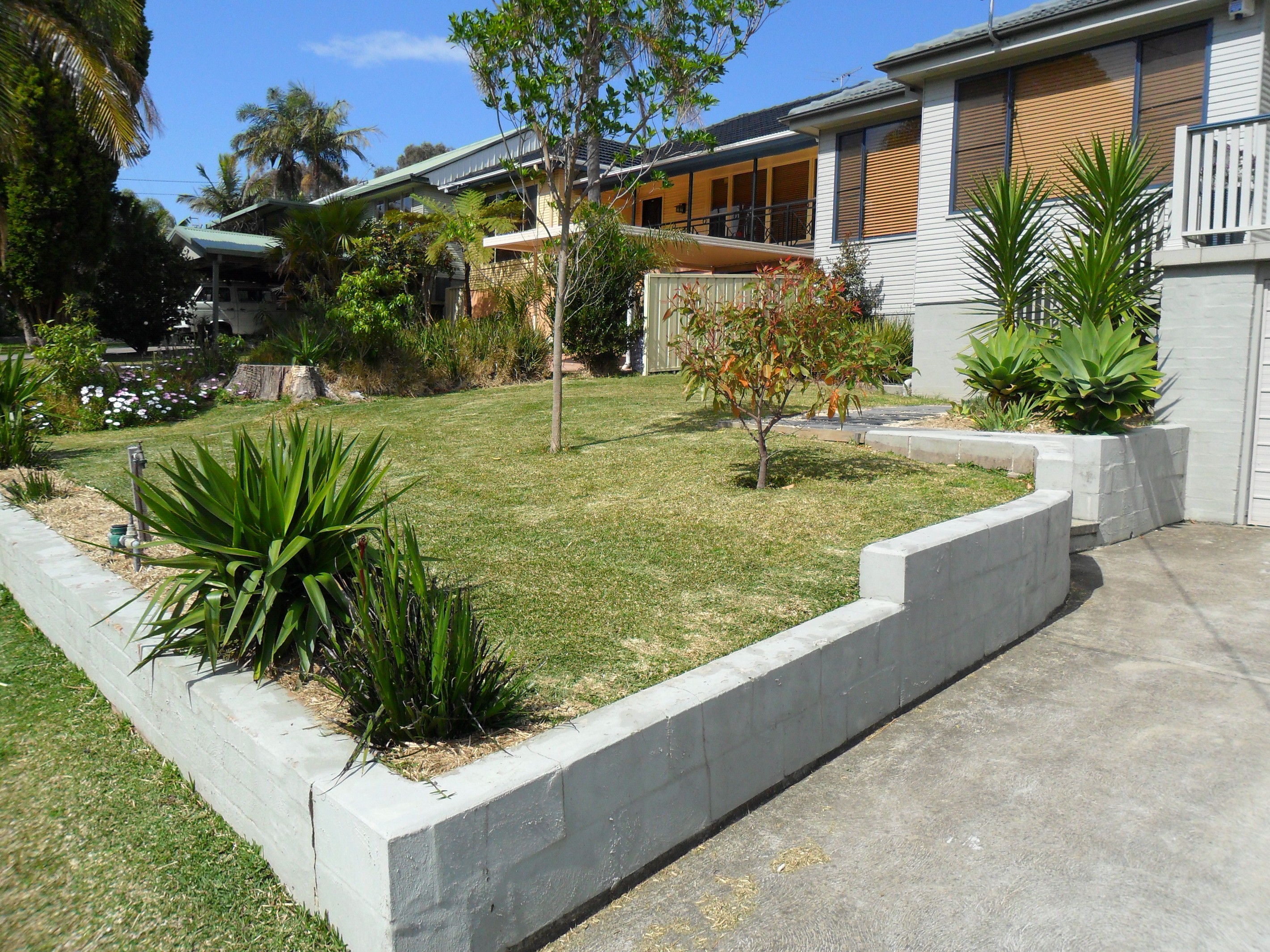 31 Kaleen Street, Charlestown, NSW 2290