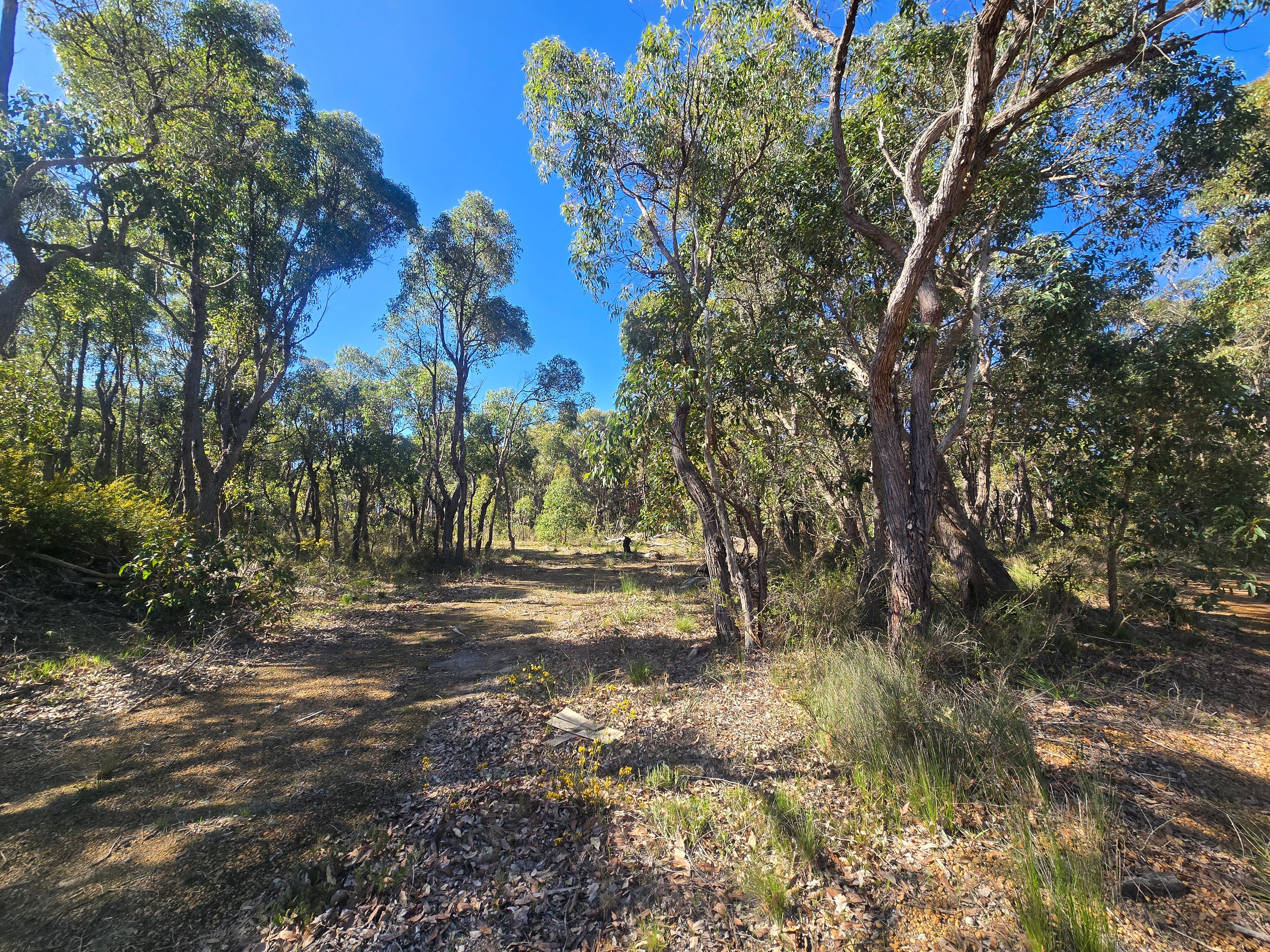 3 Dufty Place — photo 8 of 8