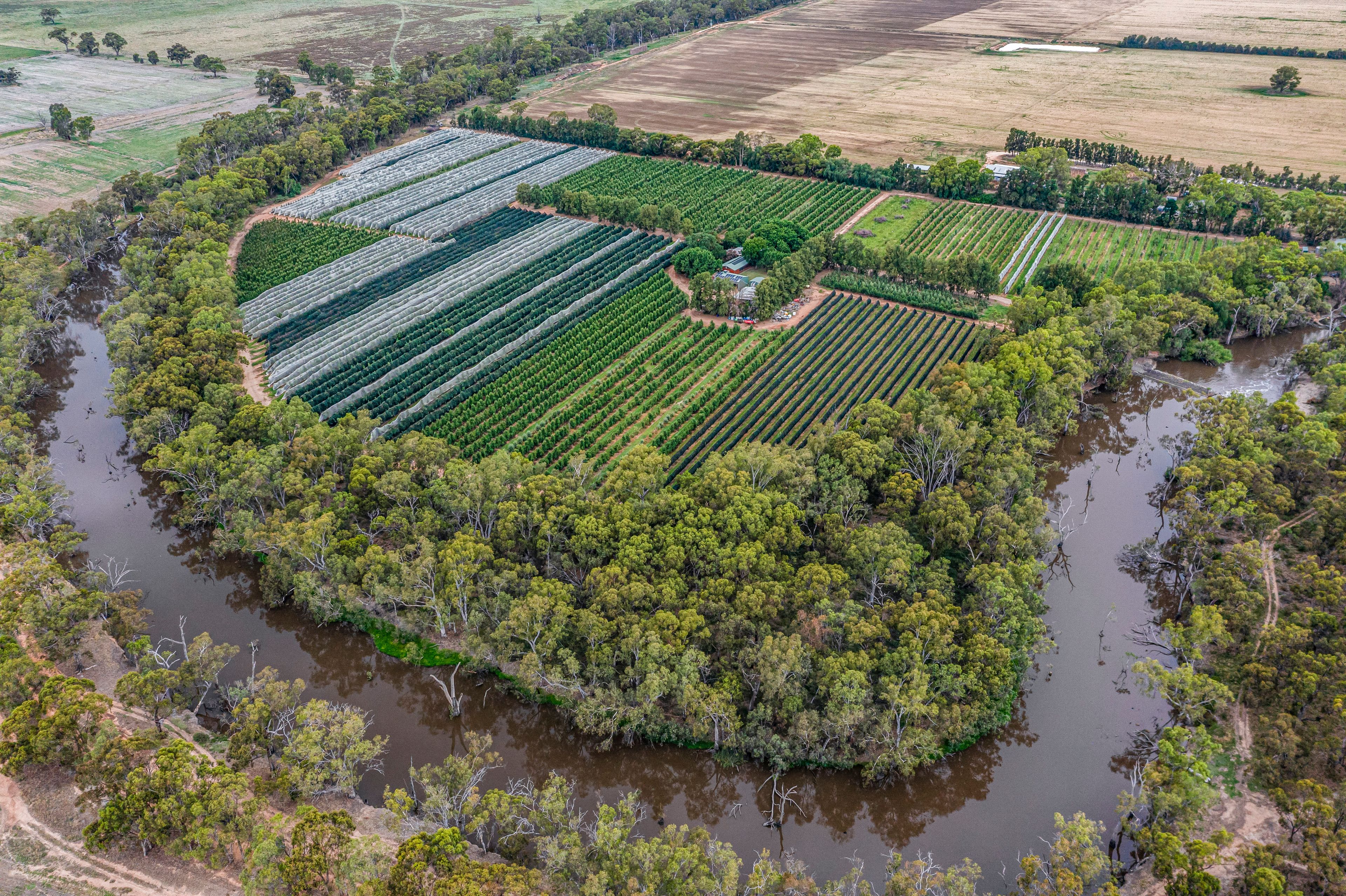 308 Murray Road, Nathalia, VIC 3638