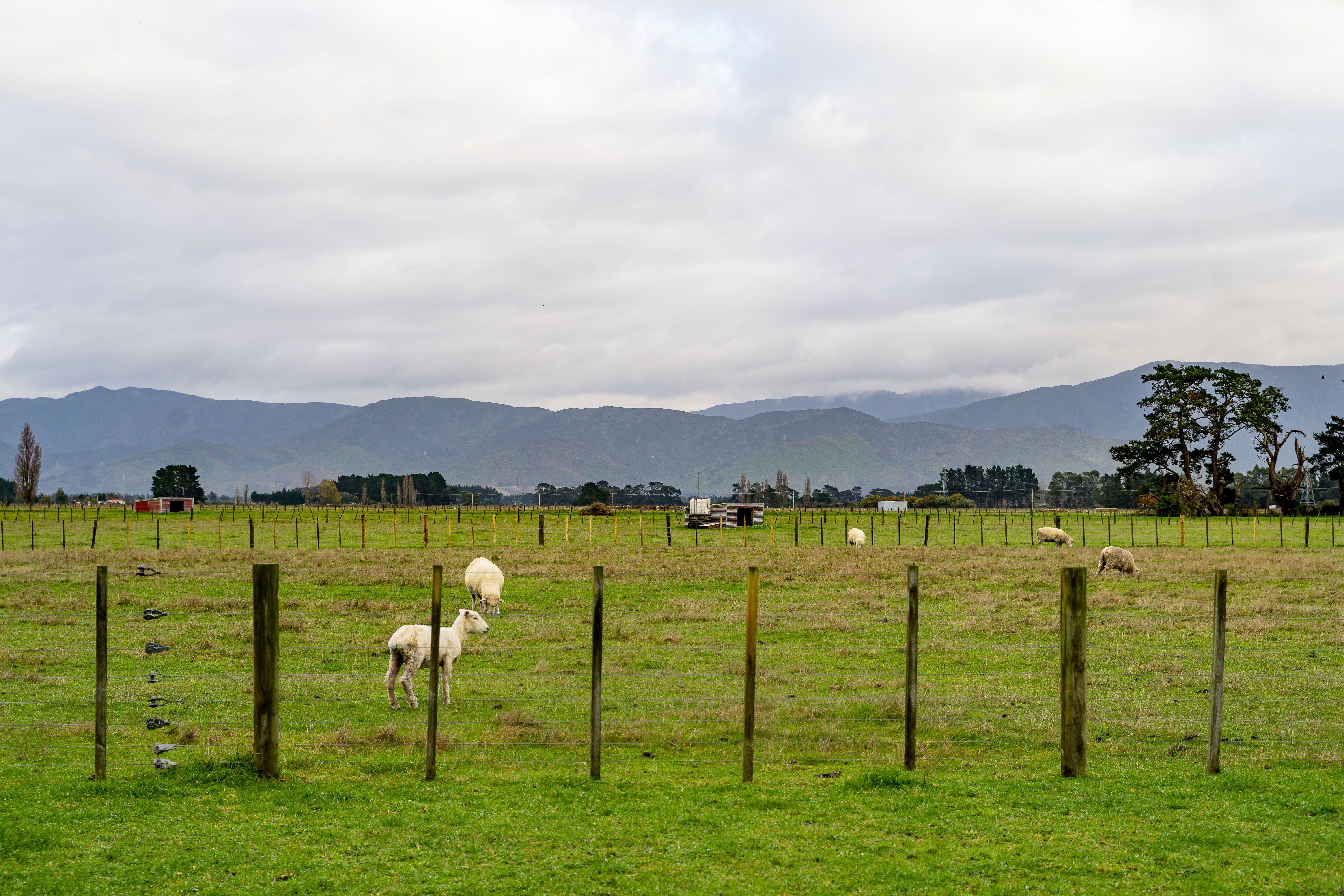 72 Battersea Road, Greytown, South Wairarapa District