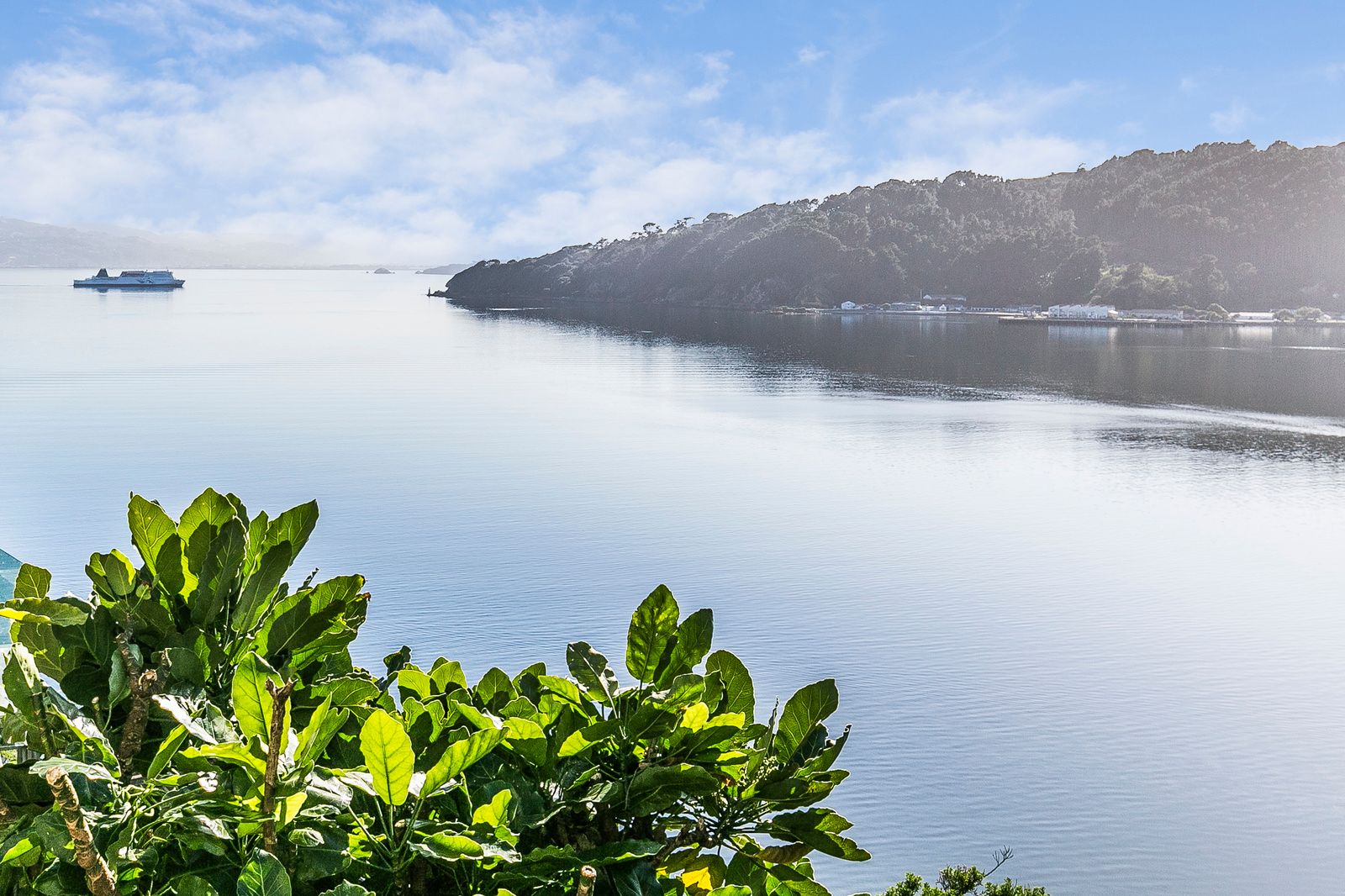 2 Akautangi Way, Hataitai, Wellington City