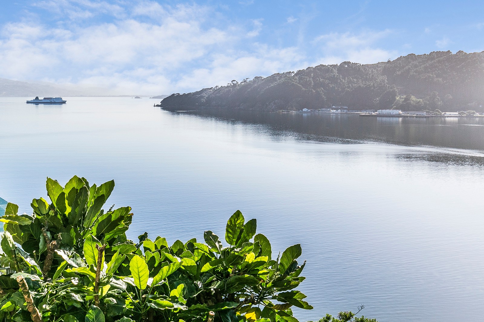 2 Akautangi Way, Hataitai, Wellington City