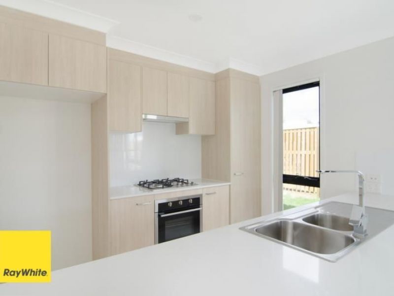 61 Hill Drive, Pimpama, QLD 4209