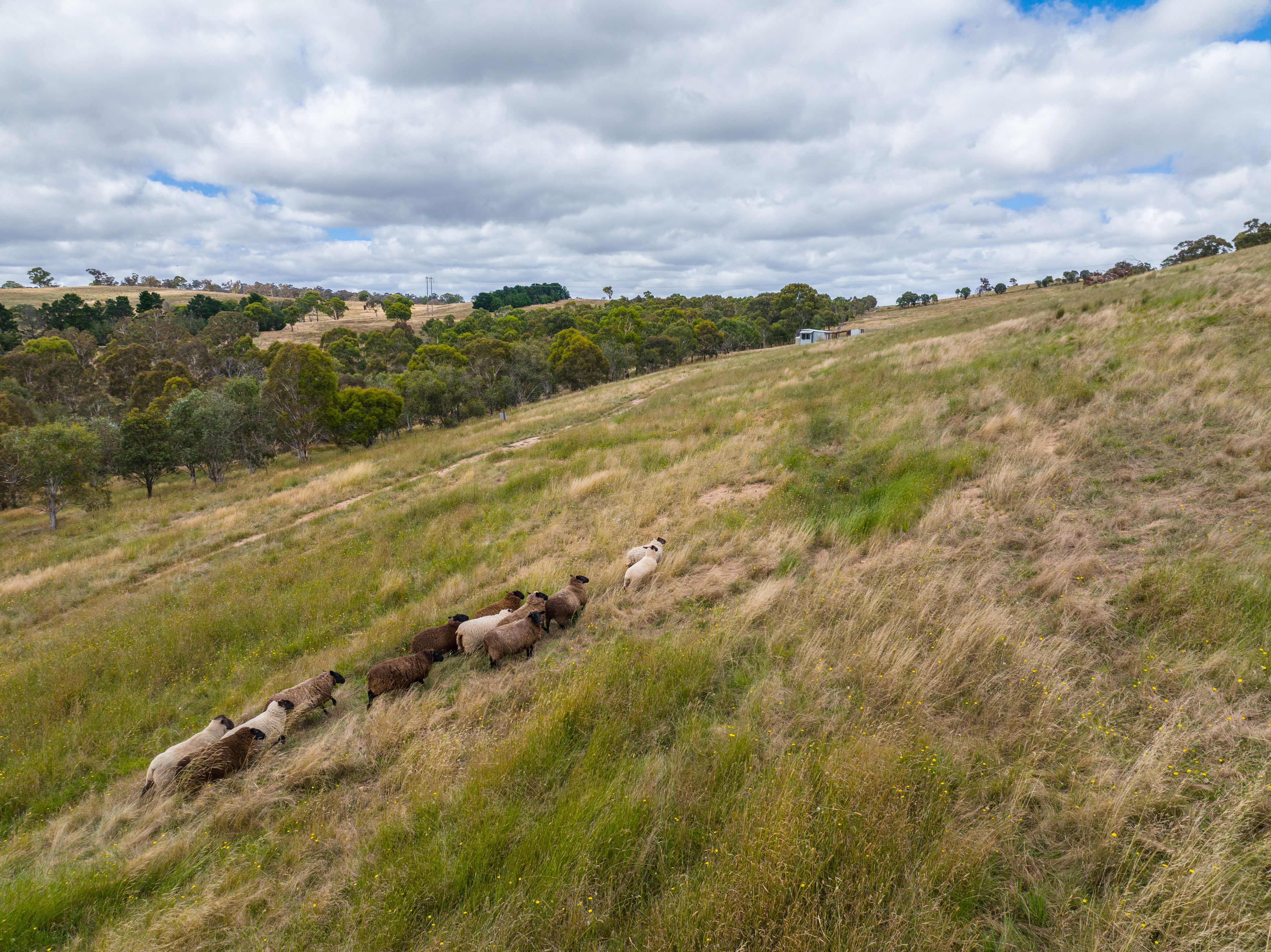 40 Povey Place, Breadalbane, NSW 2581