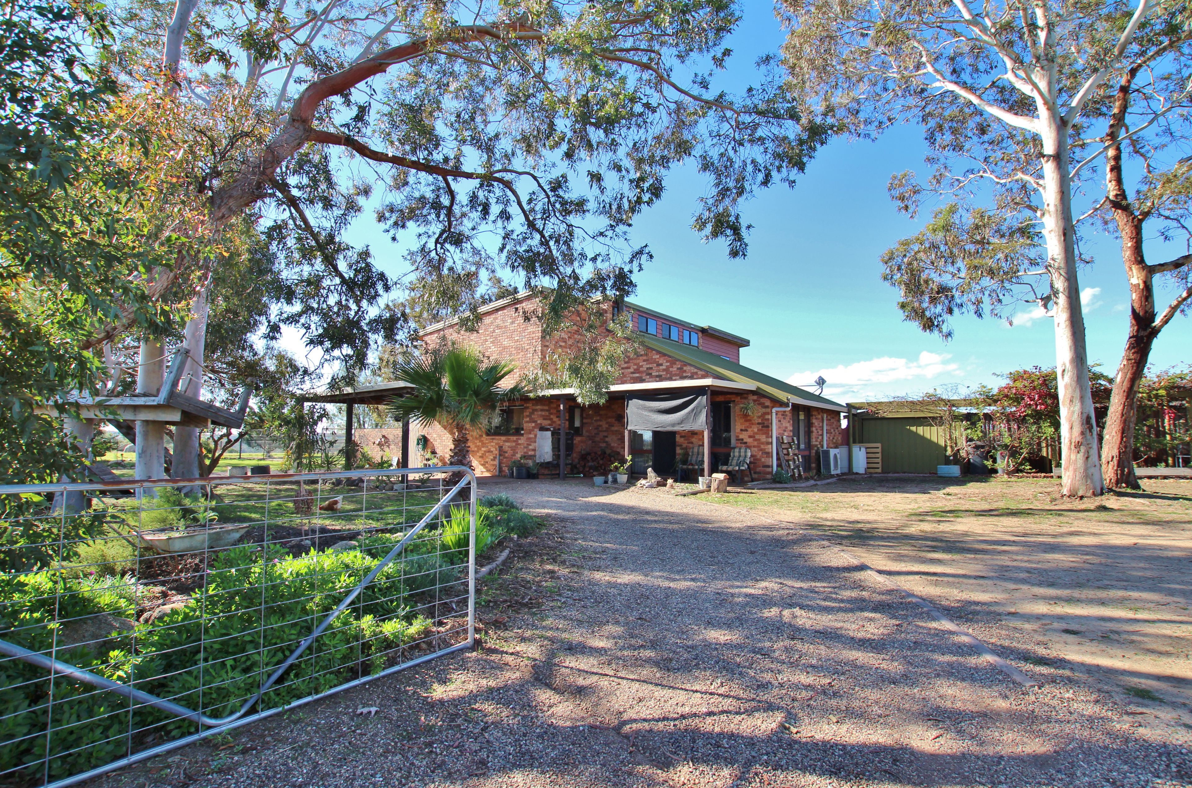 149 Chums Lane, Young NSW 2594
