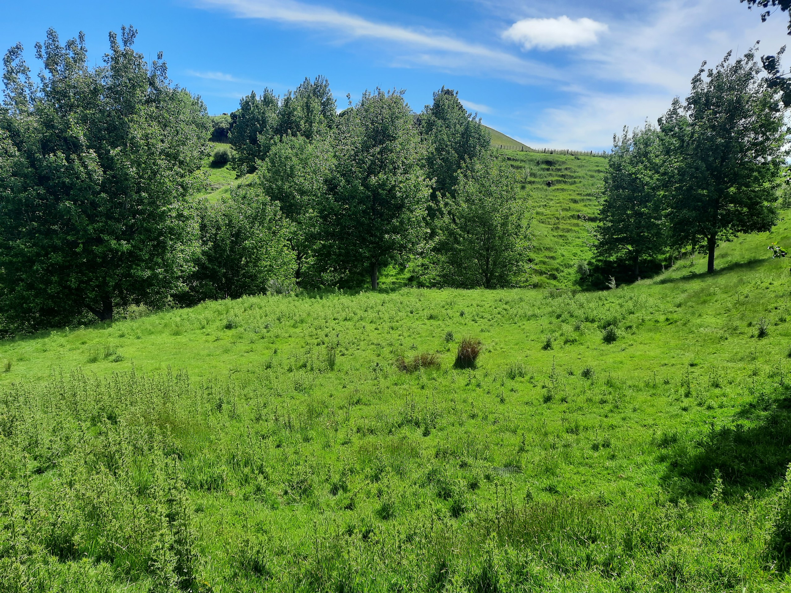 100 Ridge Road, Pohangina, Manawatu District